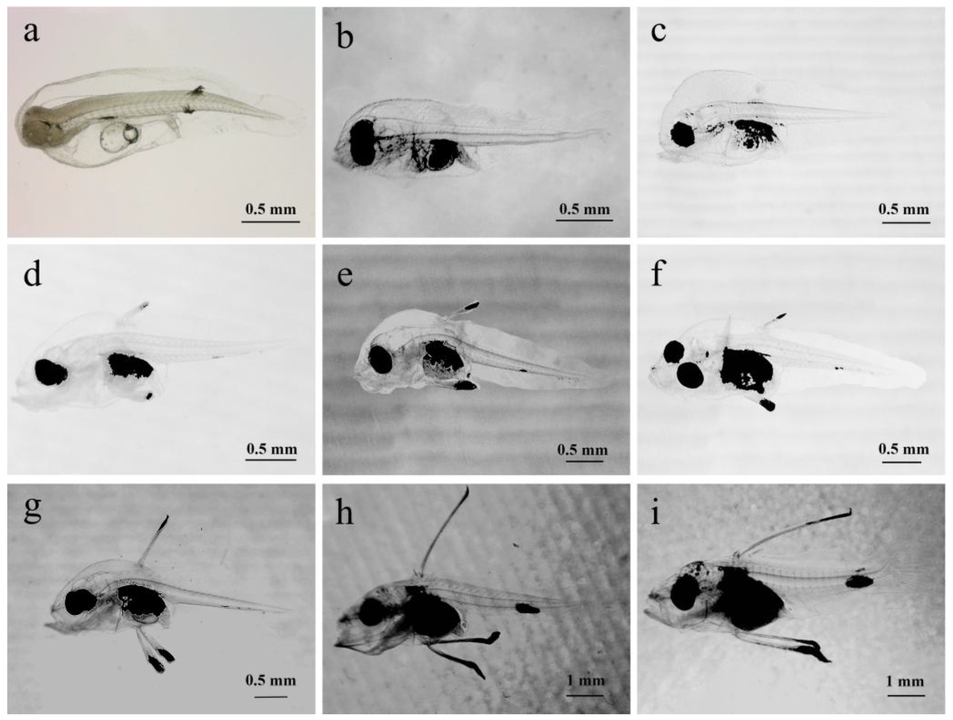 Preprints 182608 g003