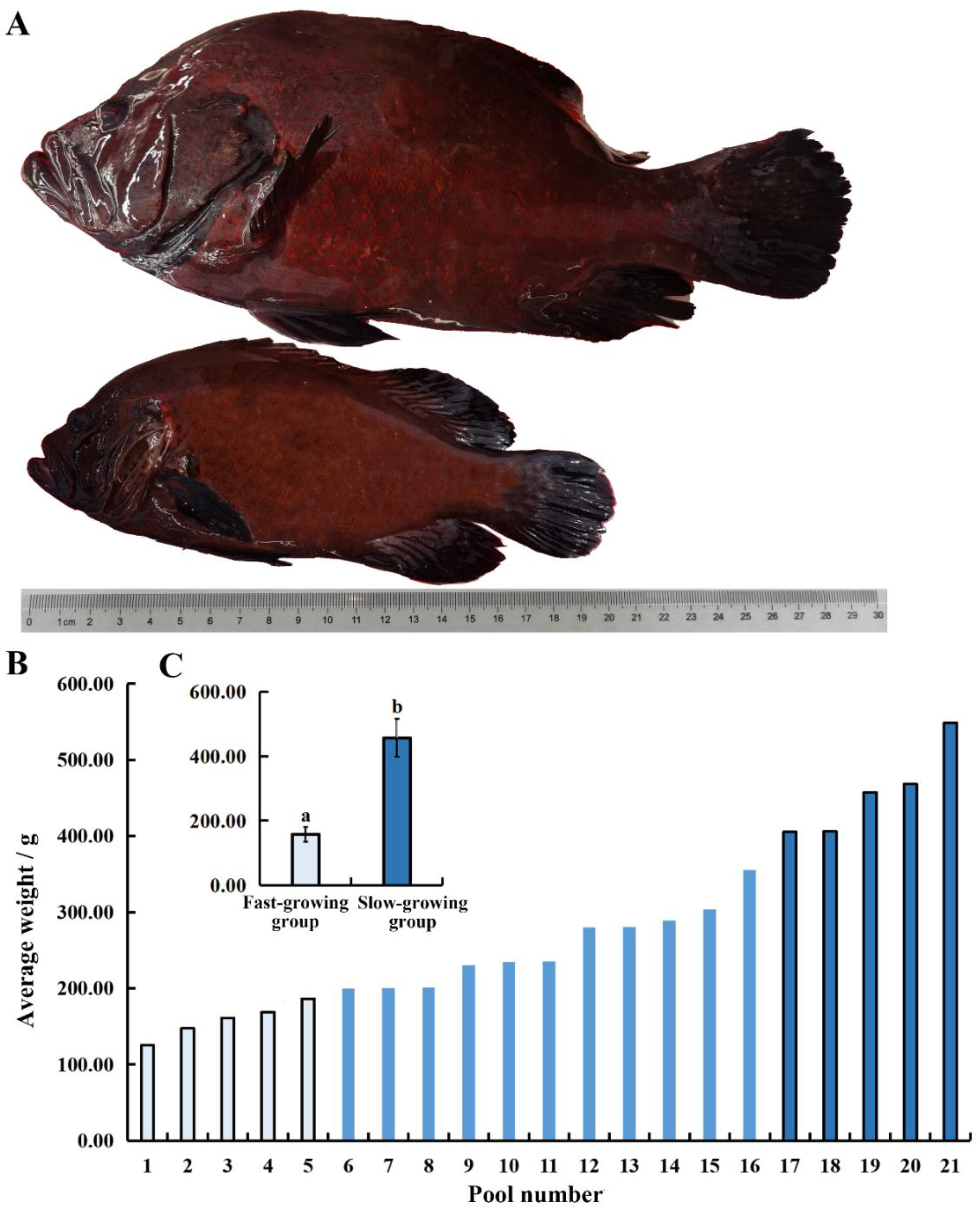 Preprints 182608 g006