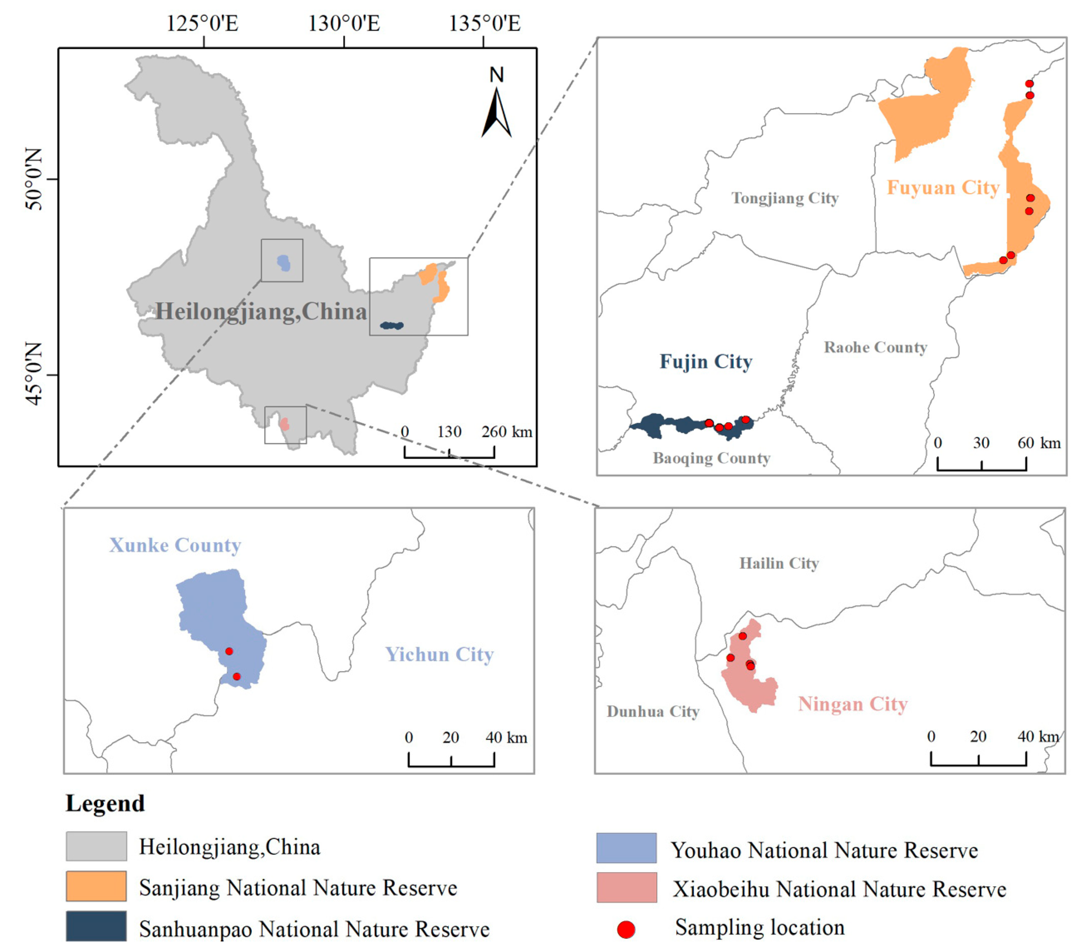 Preprints 152956 g001