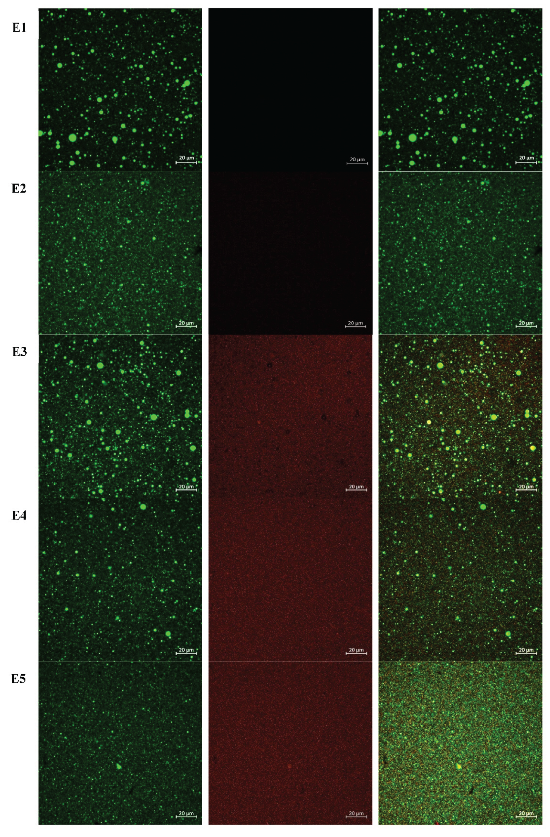 Preprints 193215 g004