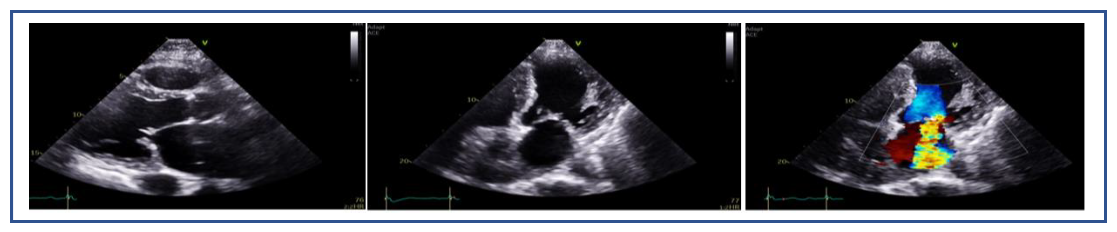 Preprints 161389 g002