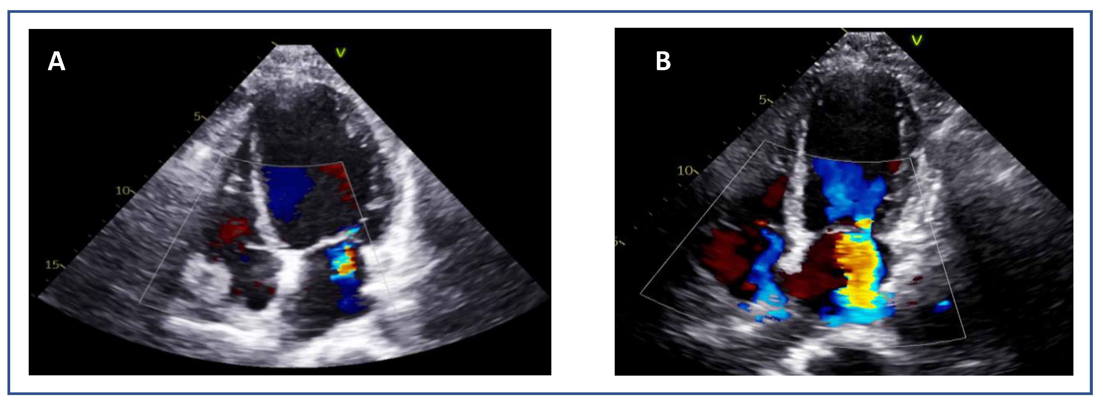 Preprints 161389 g003
