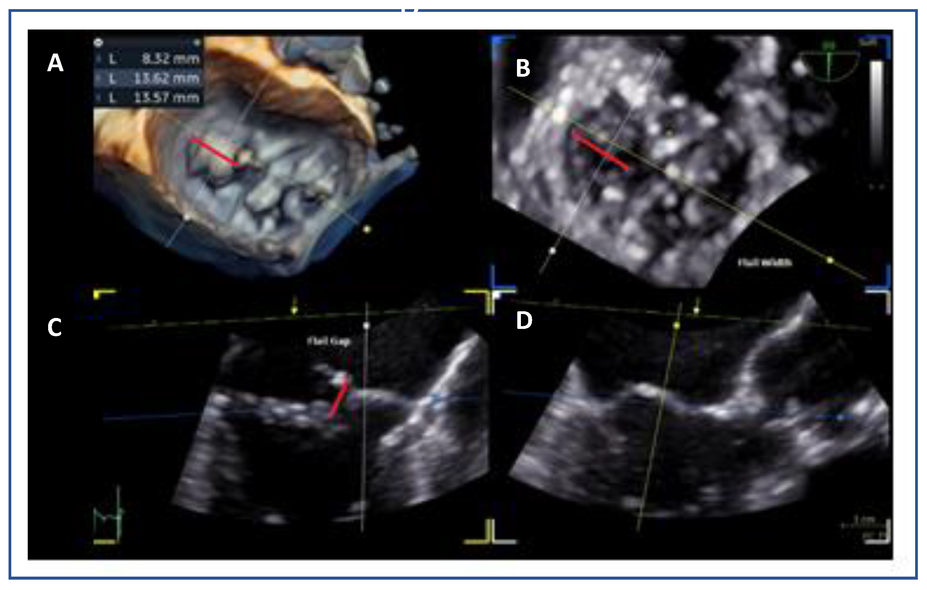 Preprints 161389 g007