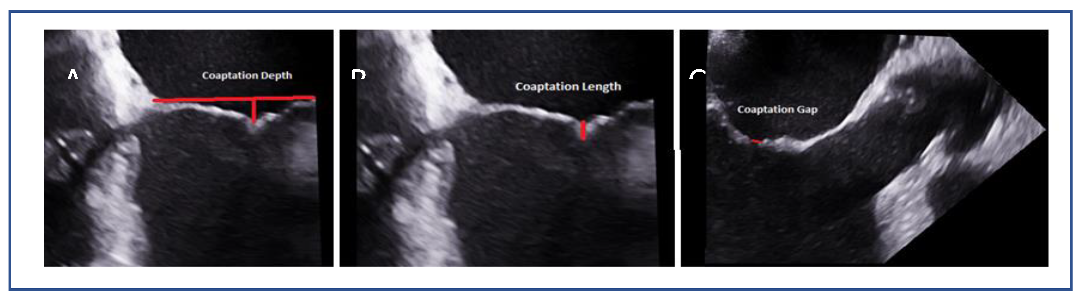 Preprints 161389 g008
