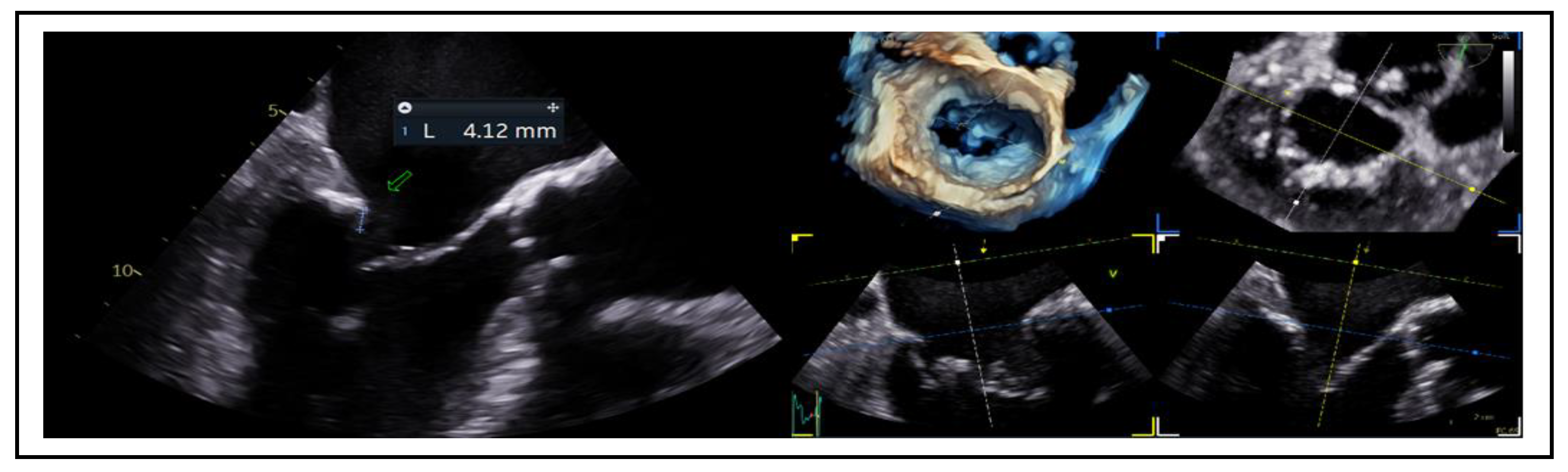 Preprints 161389 g010
