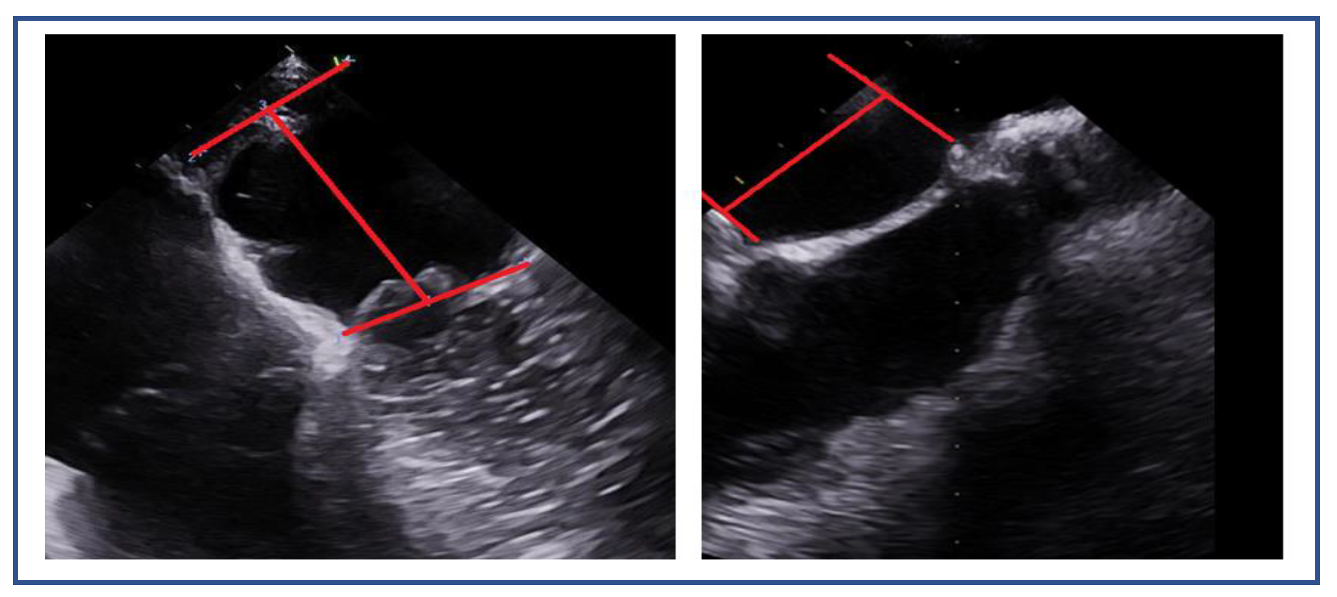 Preprints 161389 g013