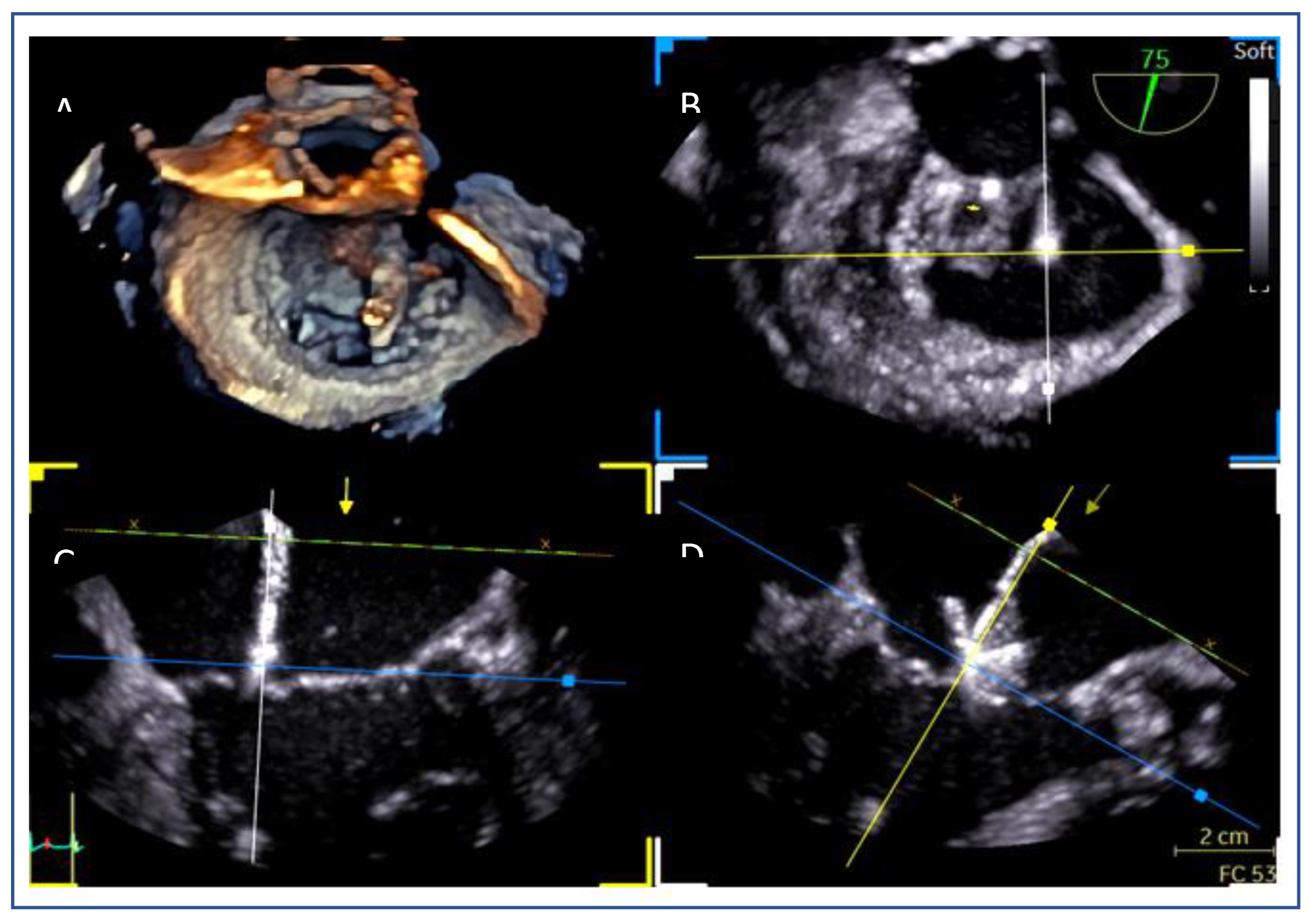 Preprints 161389 g016