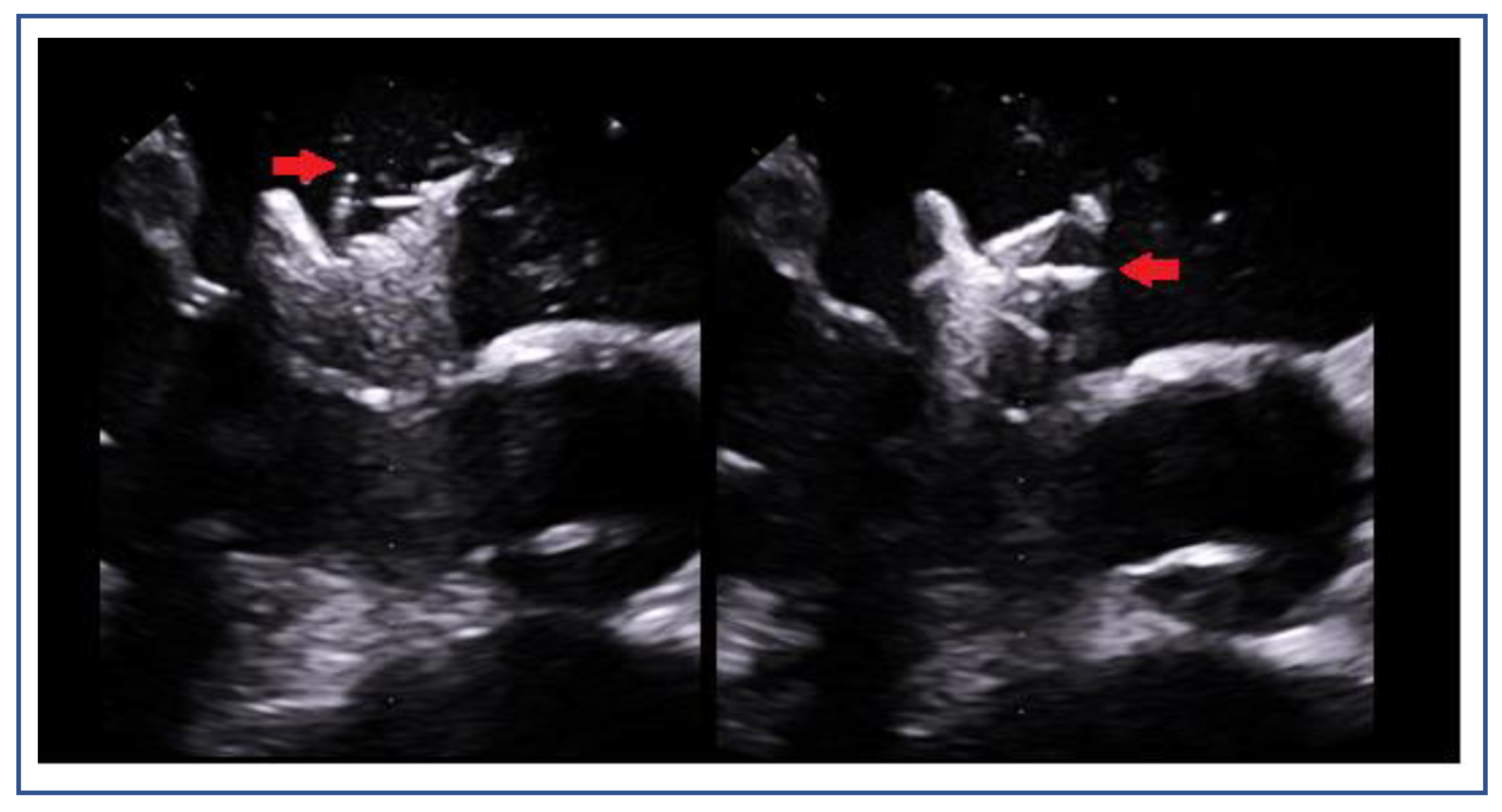 Preprints 161389 g017
