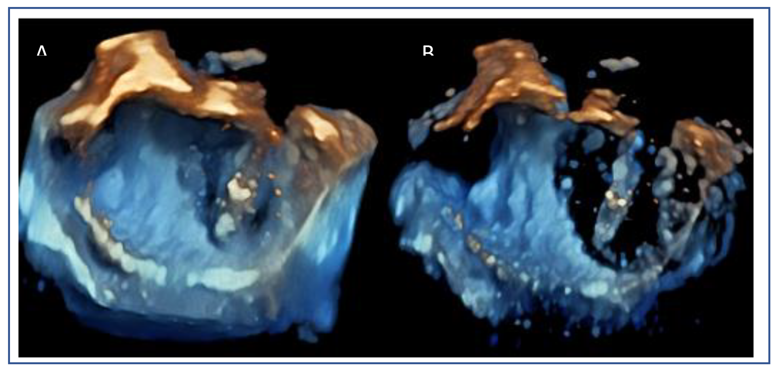 Preprints 161389 g018