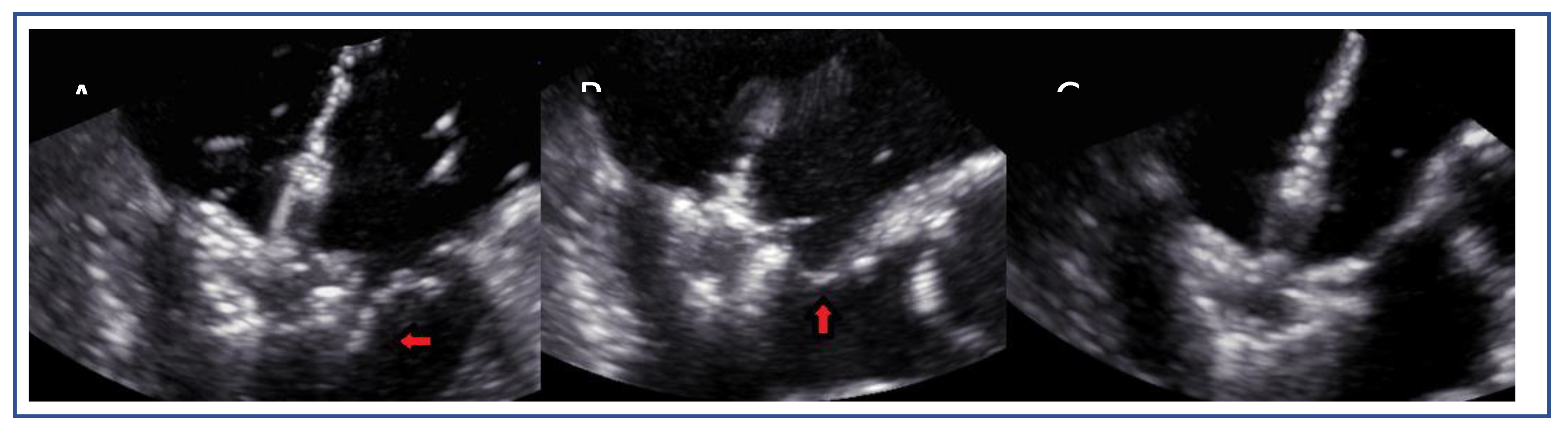 Preprints 161389 g019