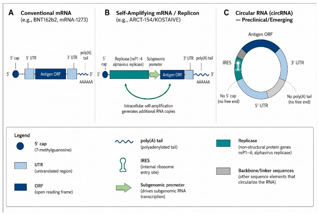 Preprints 221474 g001 Preprints 221474 g001