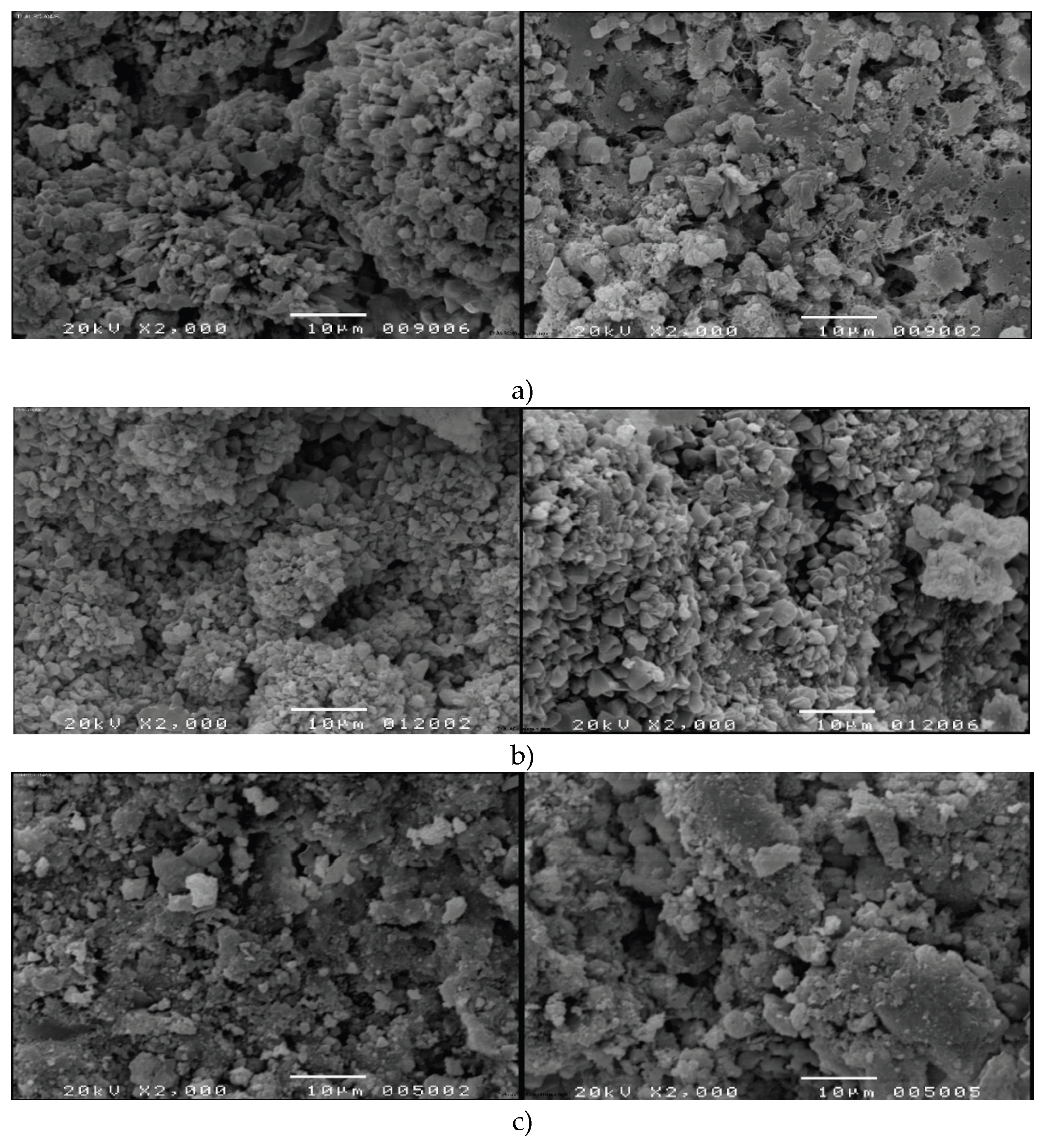 Preprints 192514 g002
