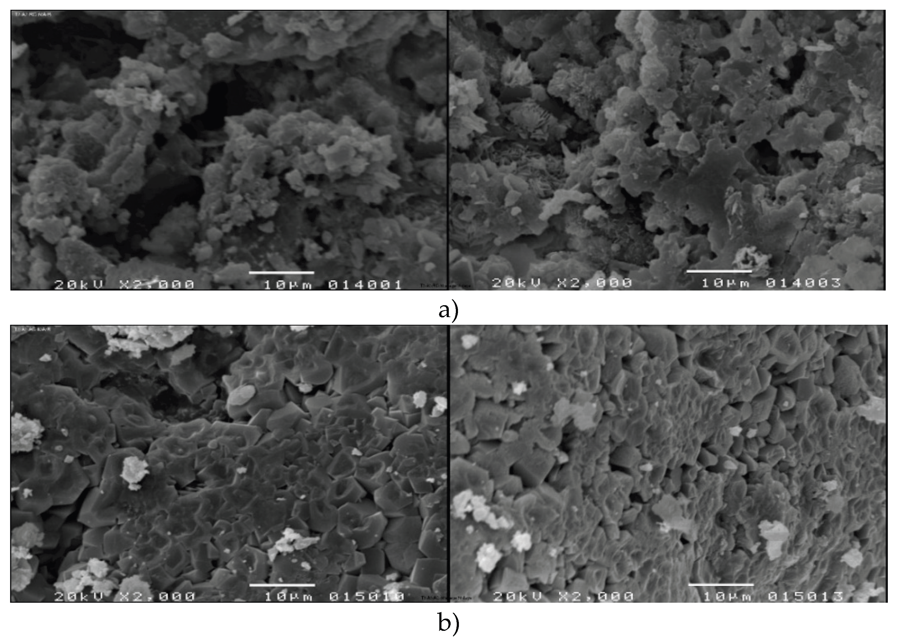Preprints 192514 g003a