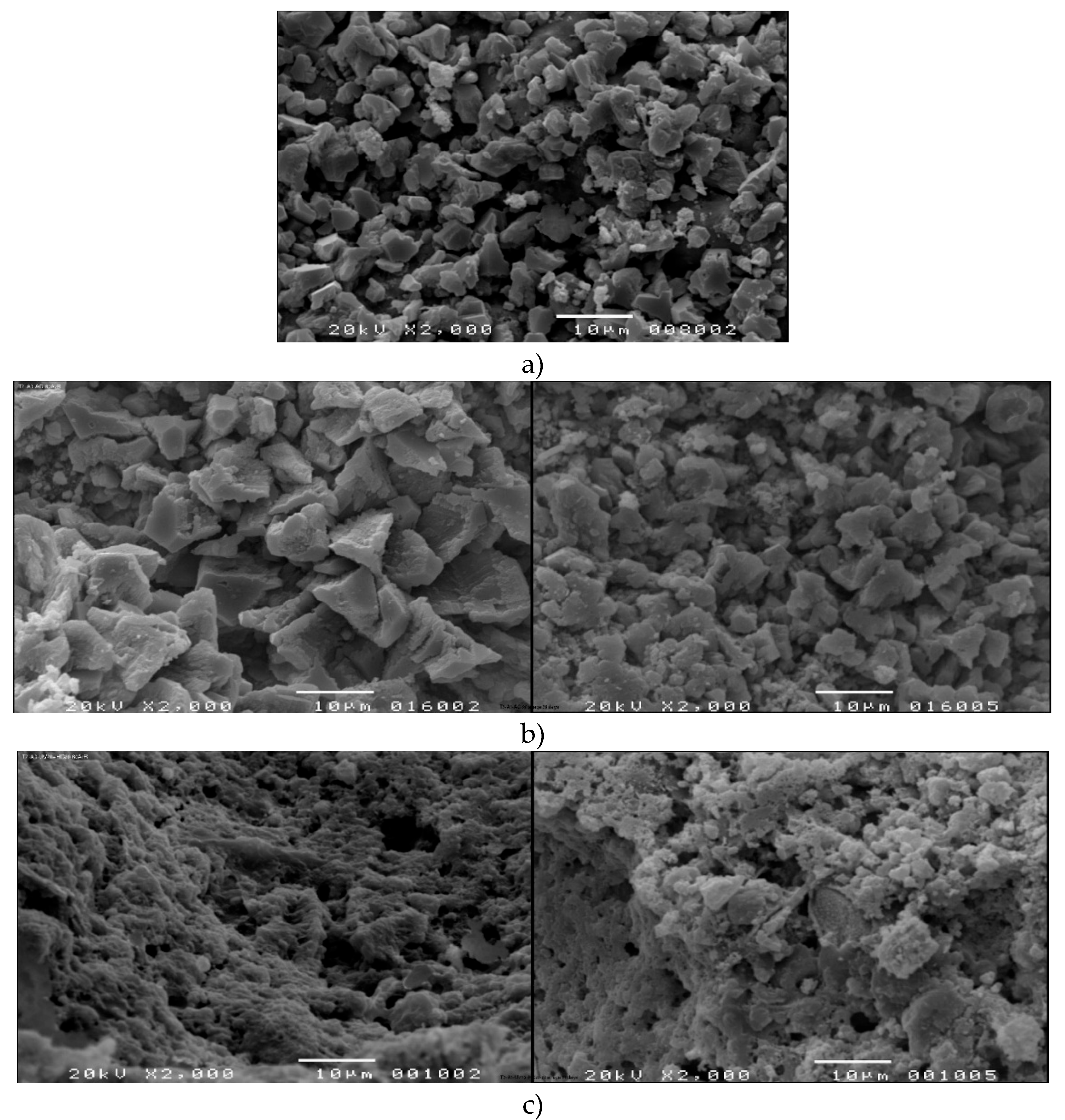 Preprints 192514 g004