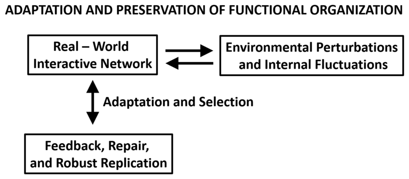 Preprints 232790 g001 Preprints 232790 g001