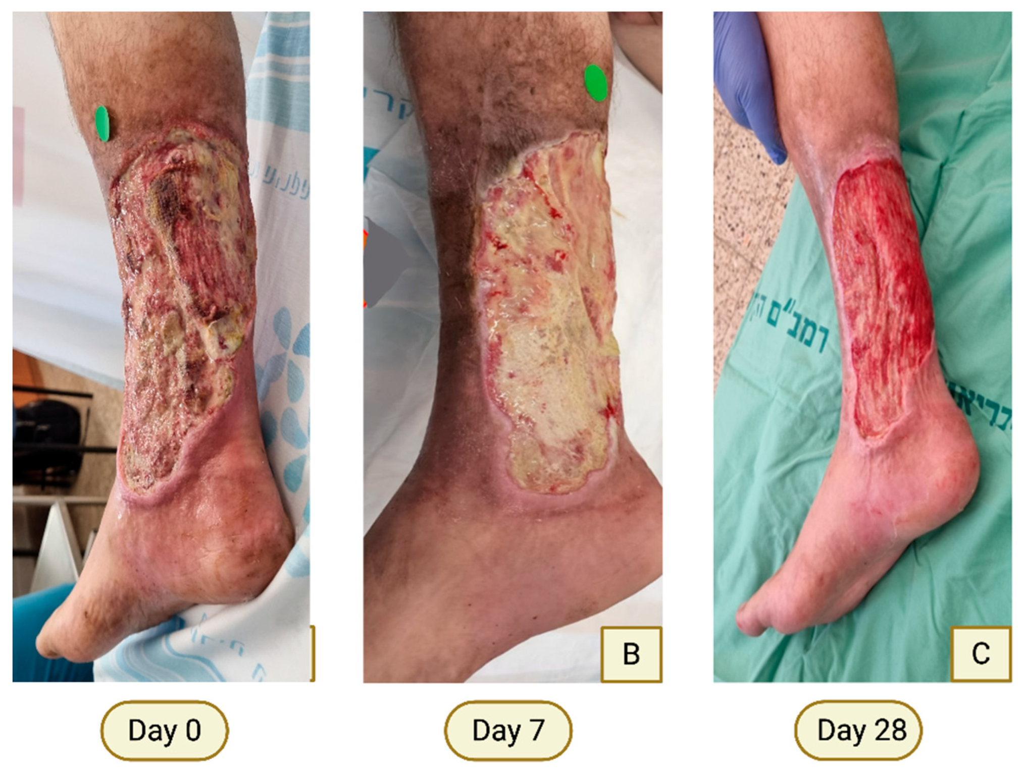 Preprints 197838 g001