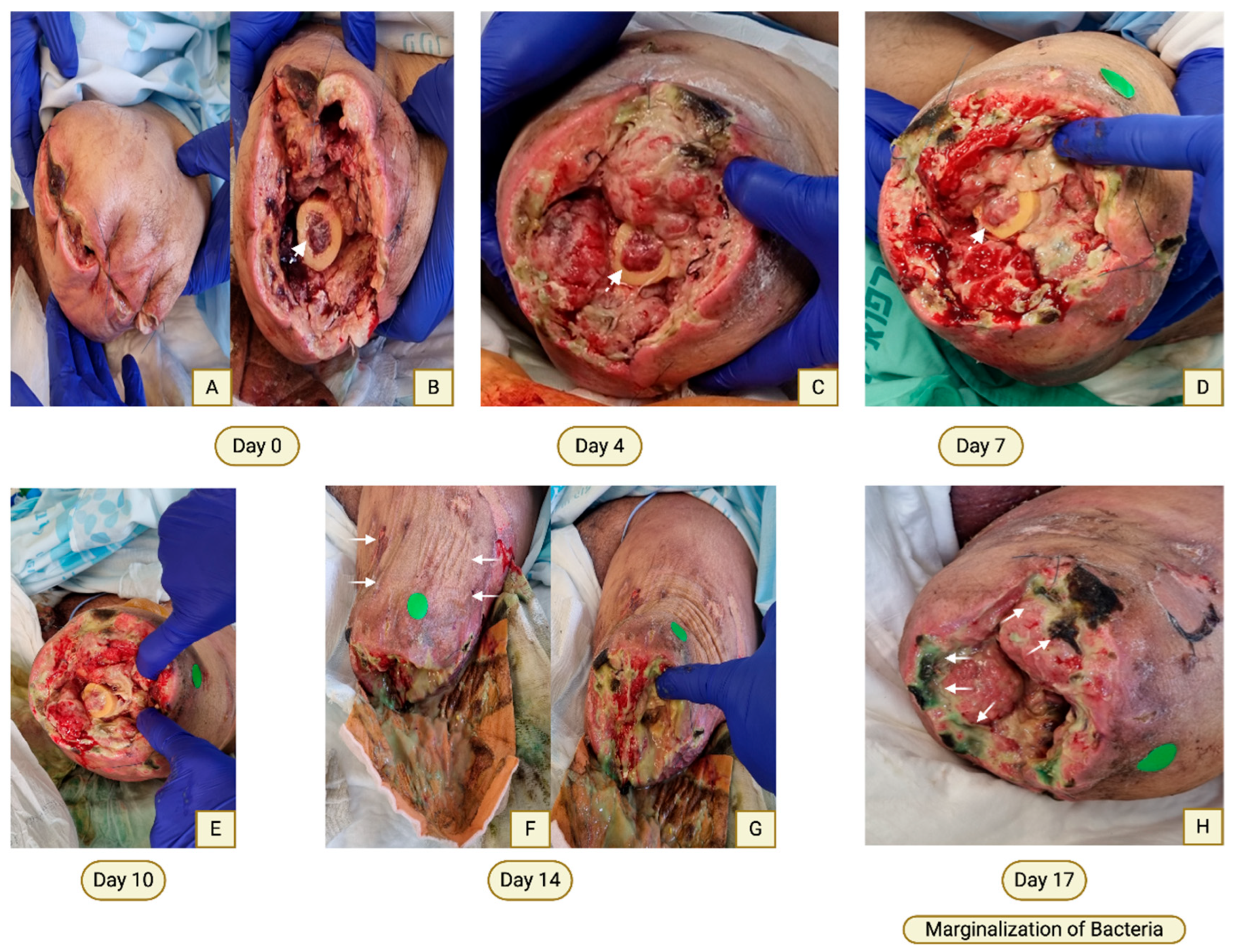 Preprints 197838 g003