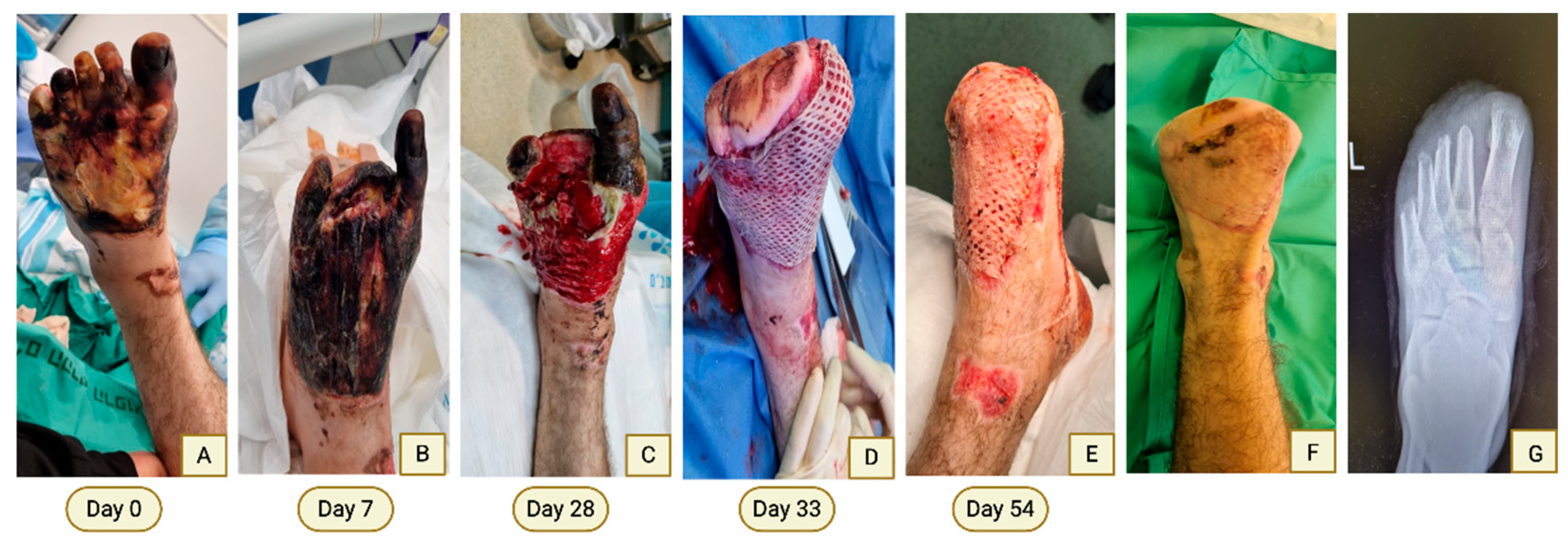Preprints 197838 g004
