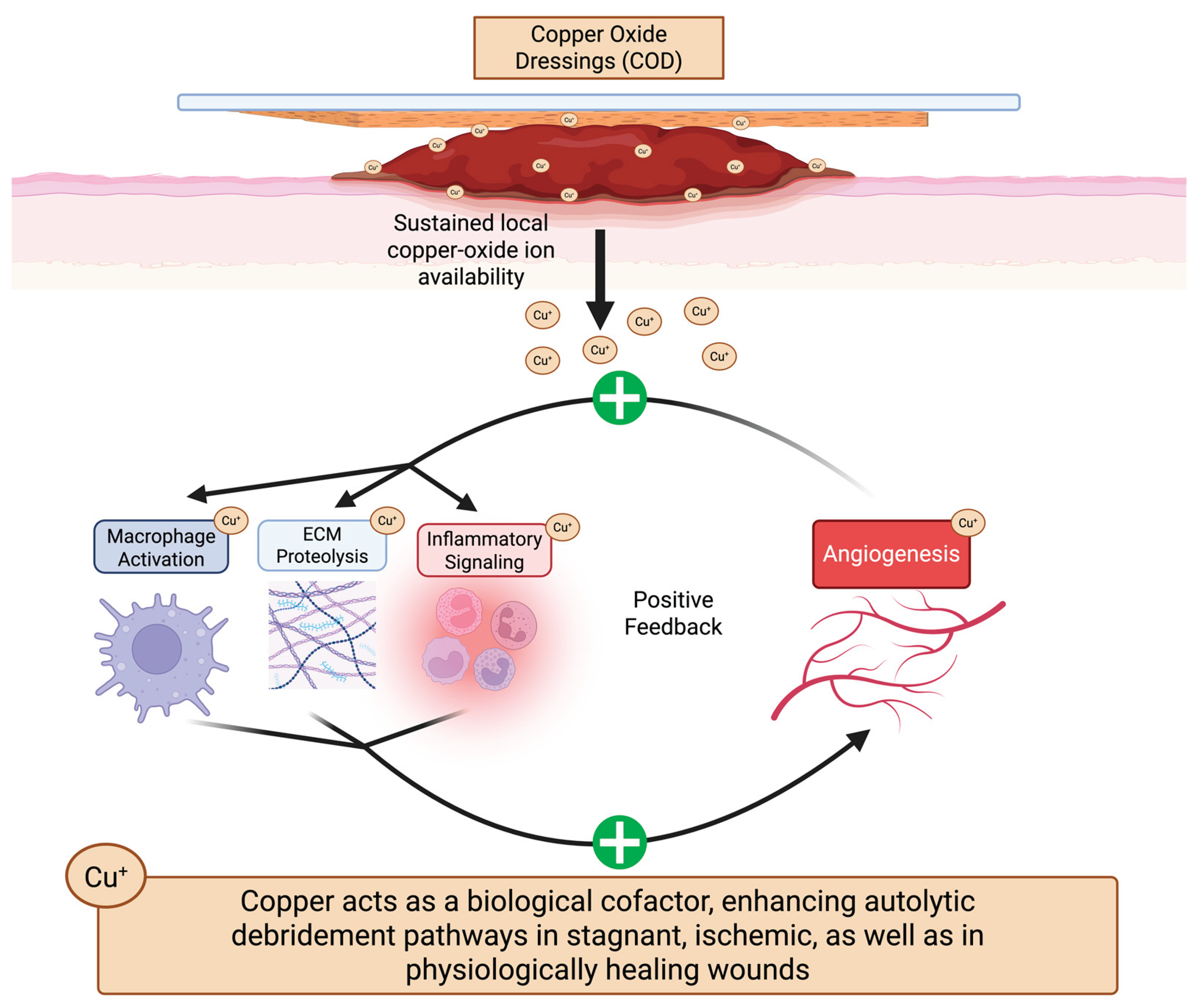 Preprints 197838 g007