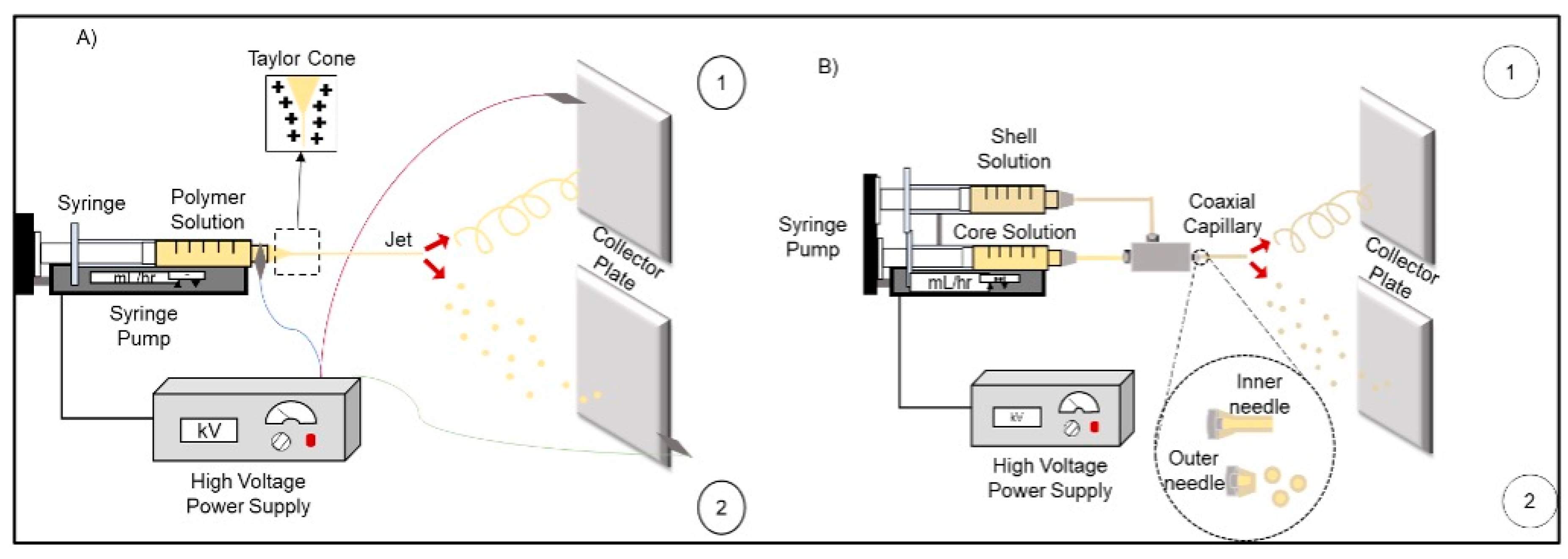 Nanotechnology for Metformin Release System: Nanostructures