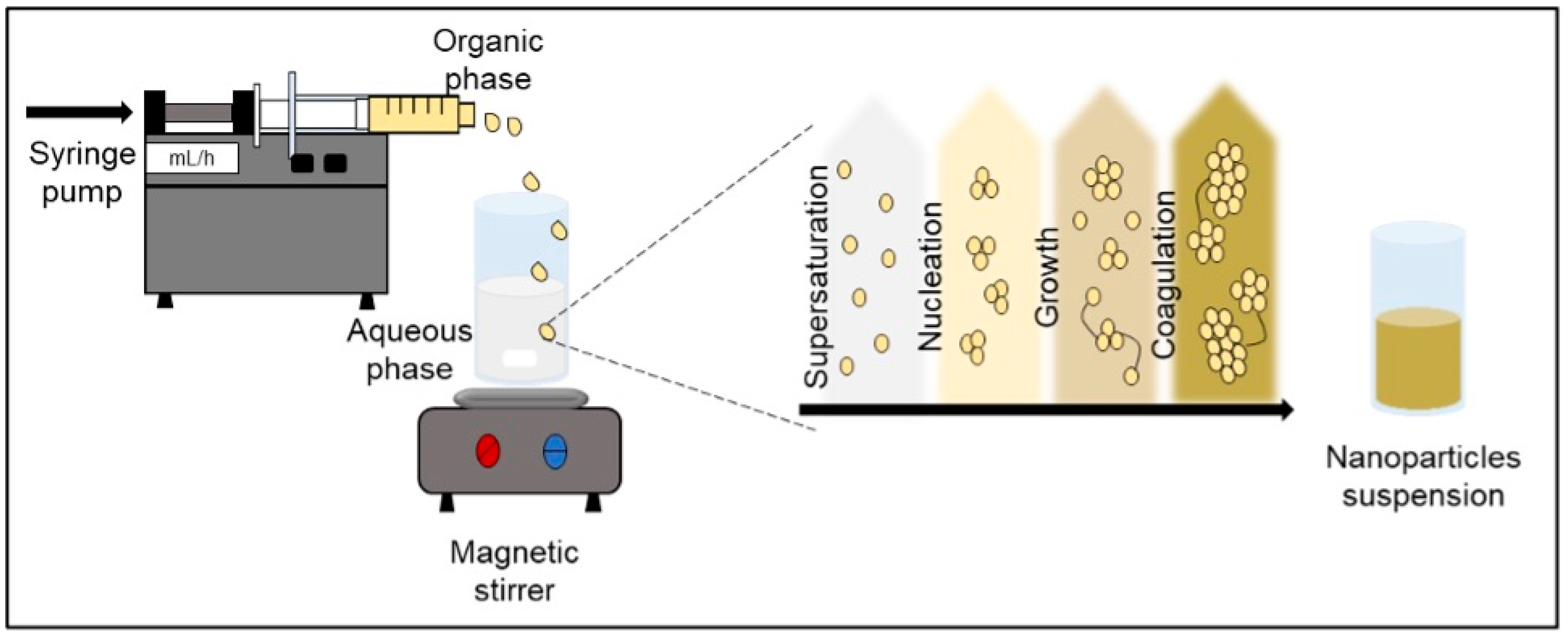 Nanotechnology for Metformin Release System: Nanostructures