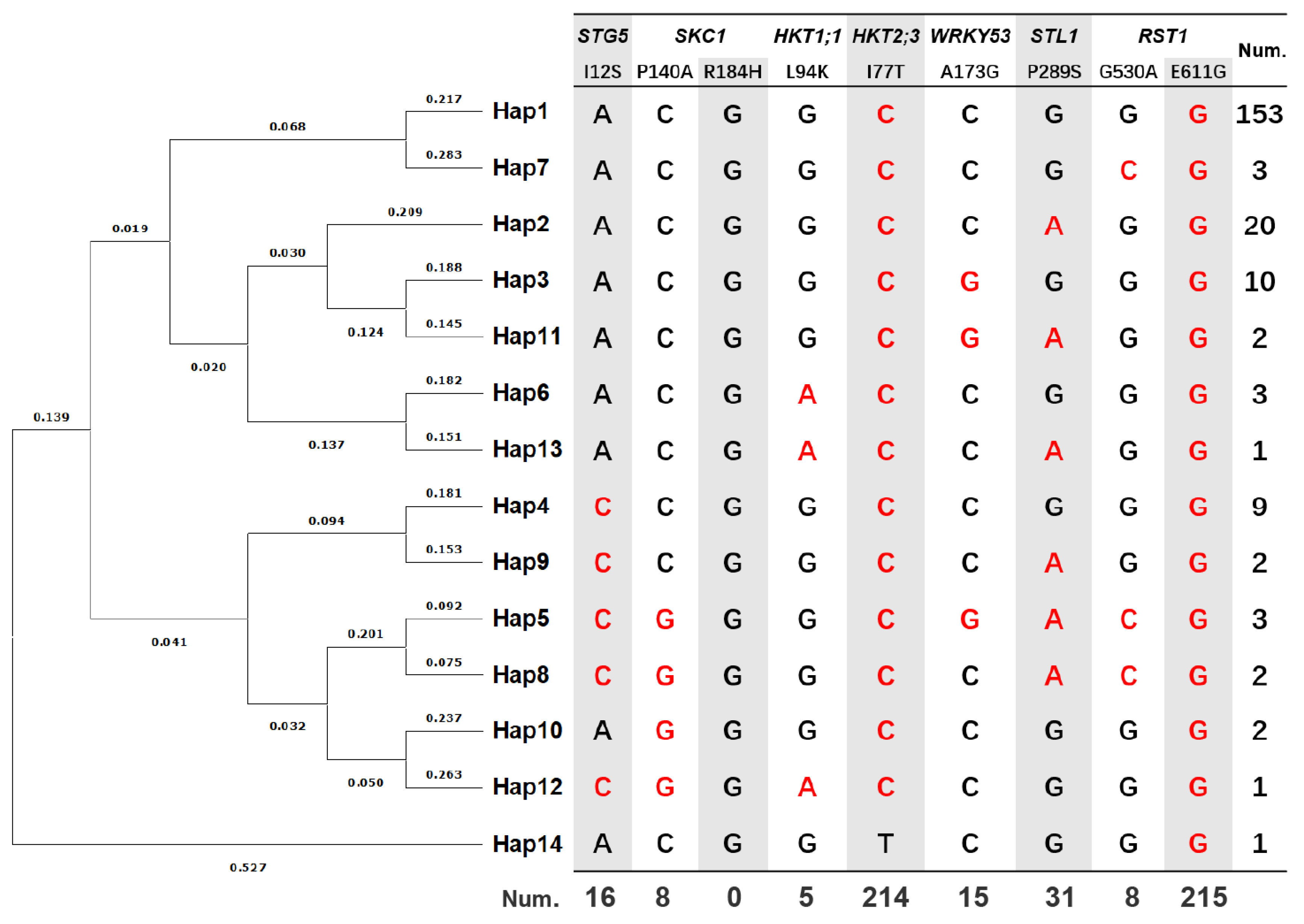 Preprints 219789 g002 Preprints 219789 g002