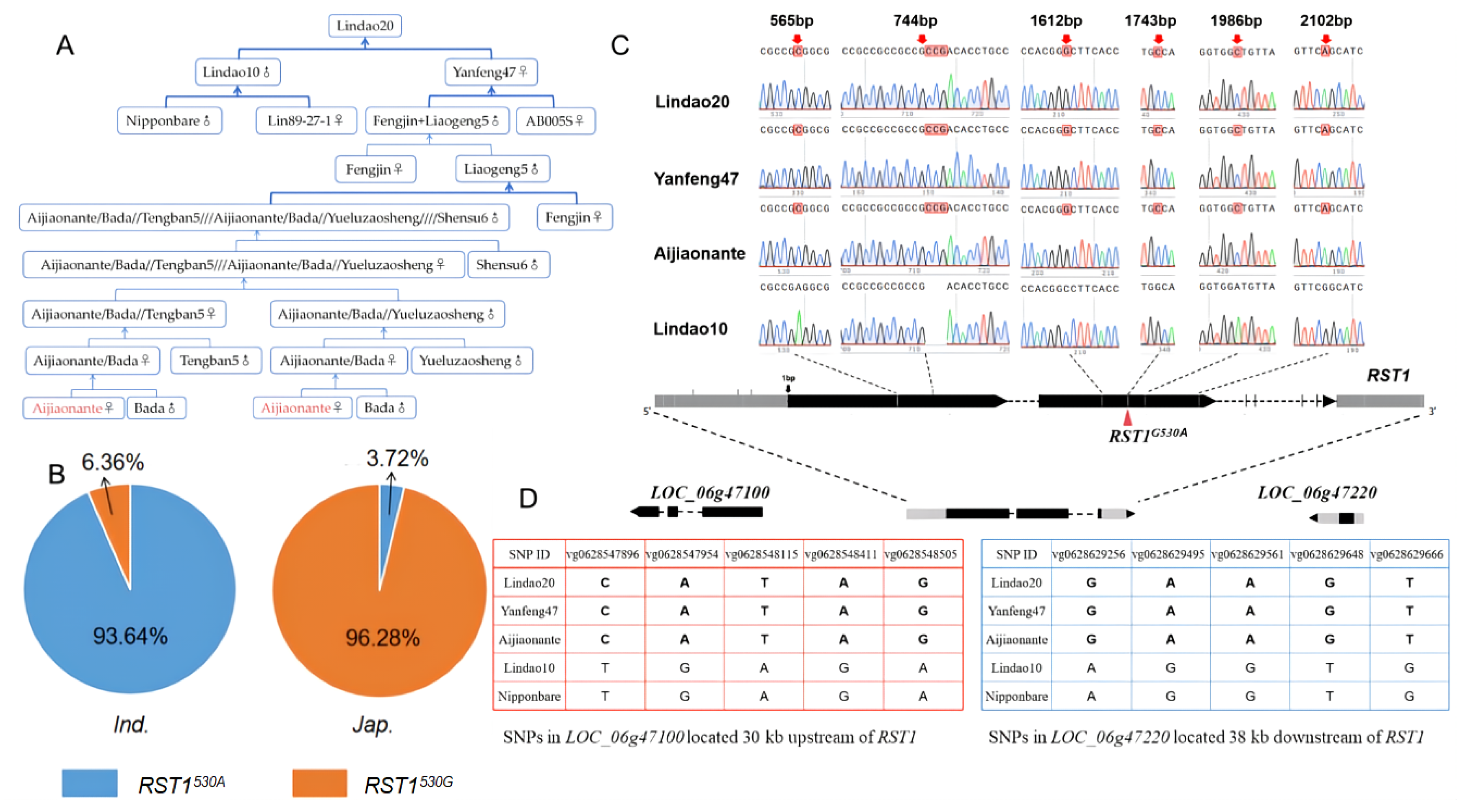 Preprints 219789 g007 Preprints 219789 g007
