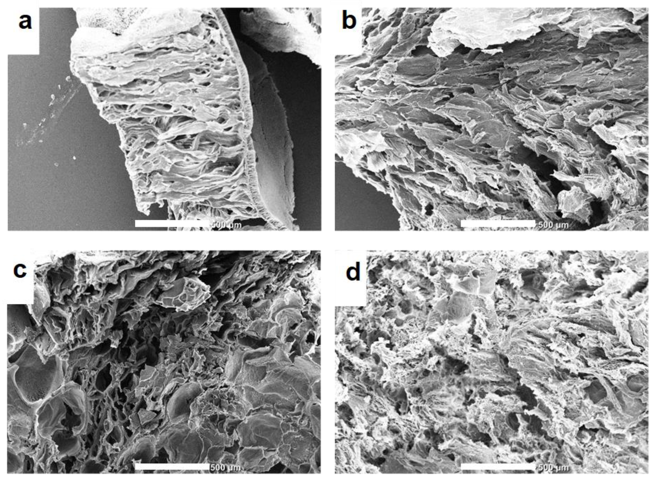 Preprints 111595 g006
