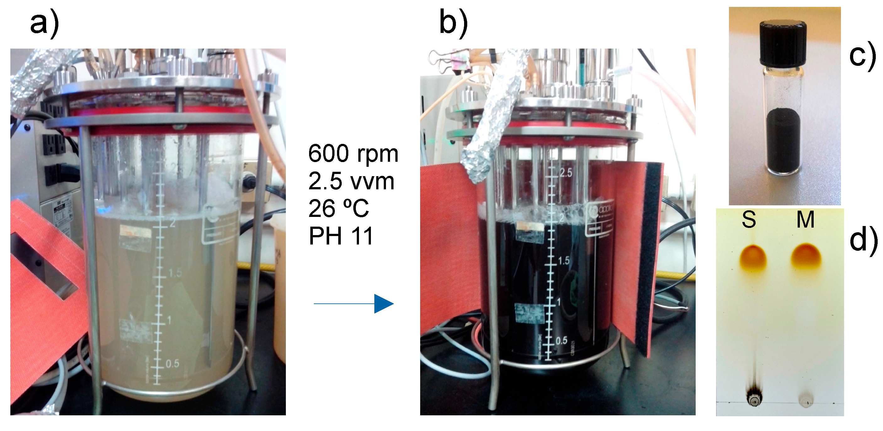 Preprints 178461 g001