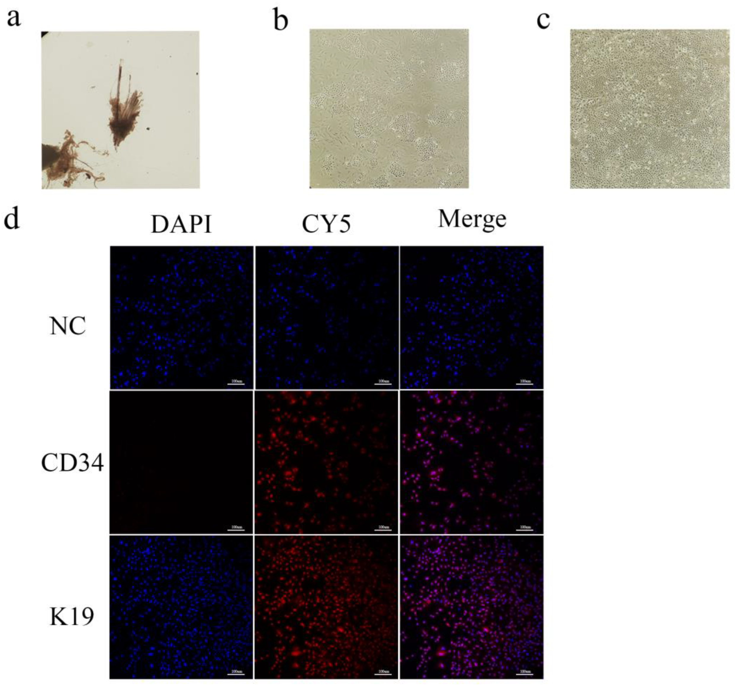 Preprints 172401 g001