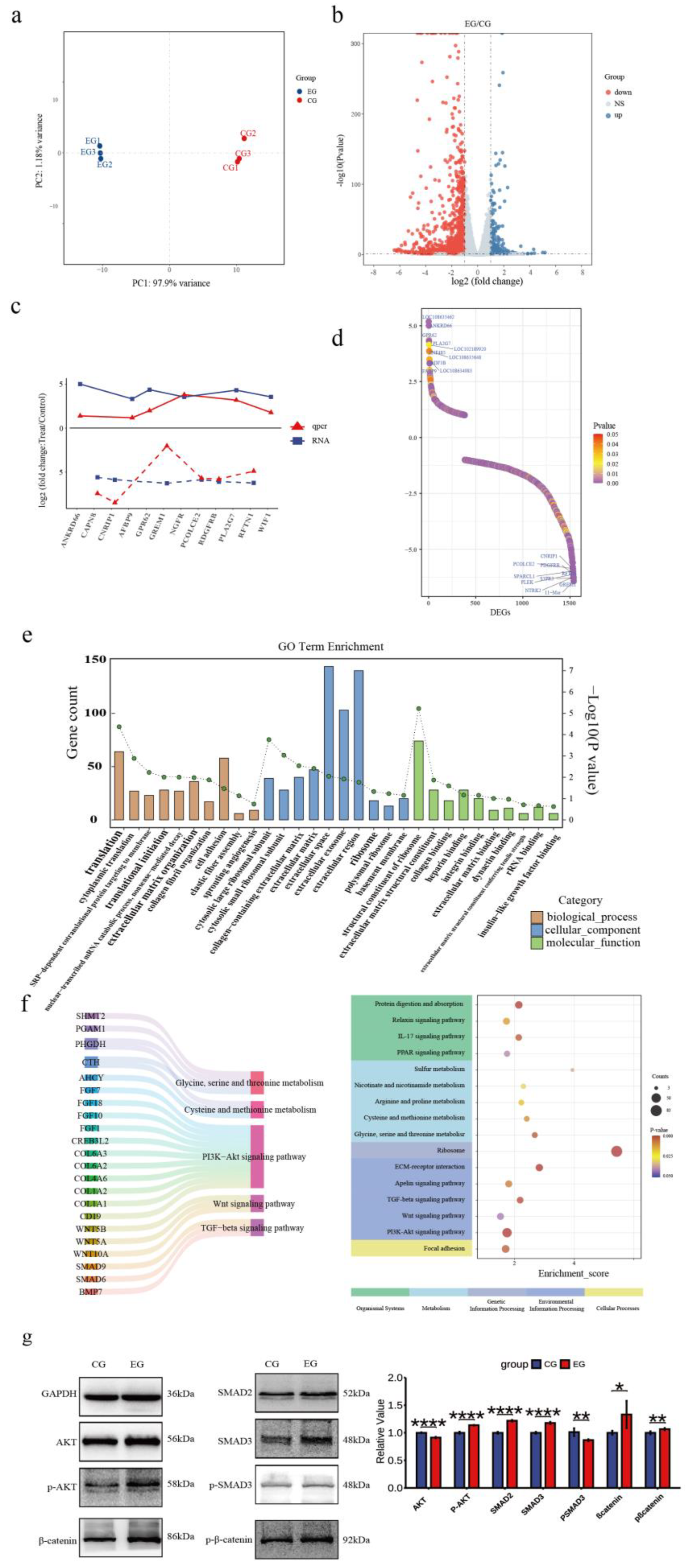 Preprints 172401 g004