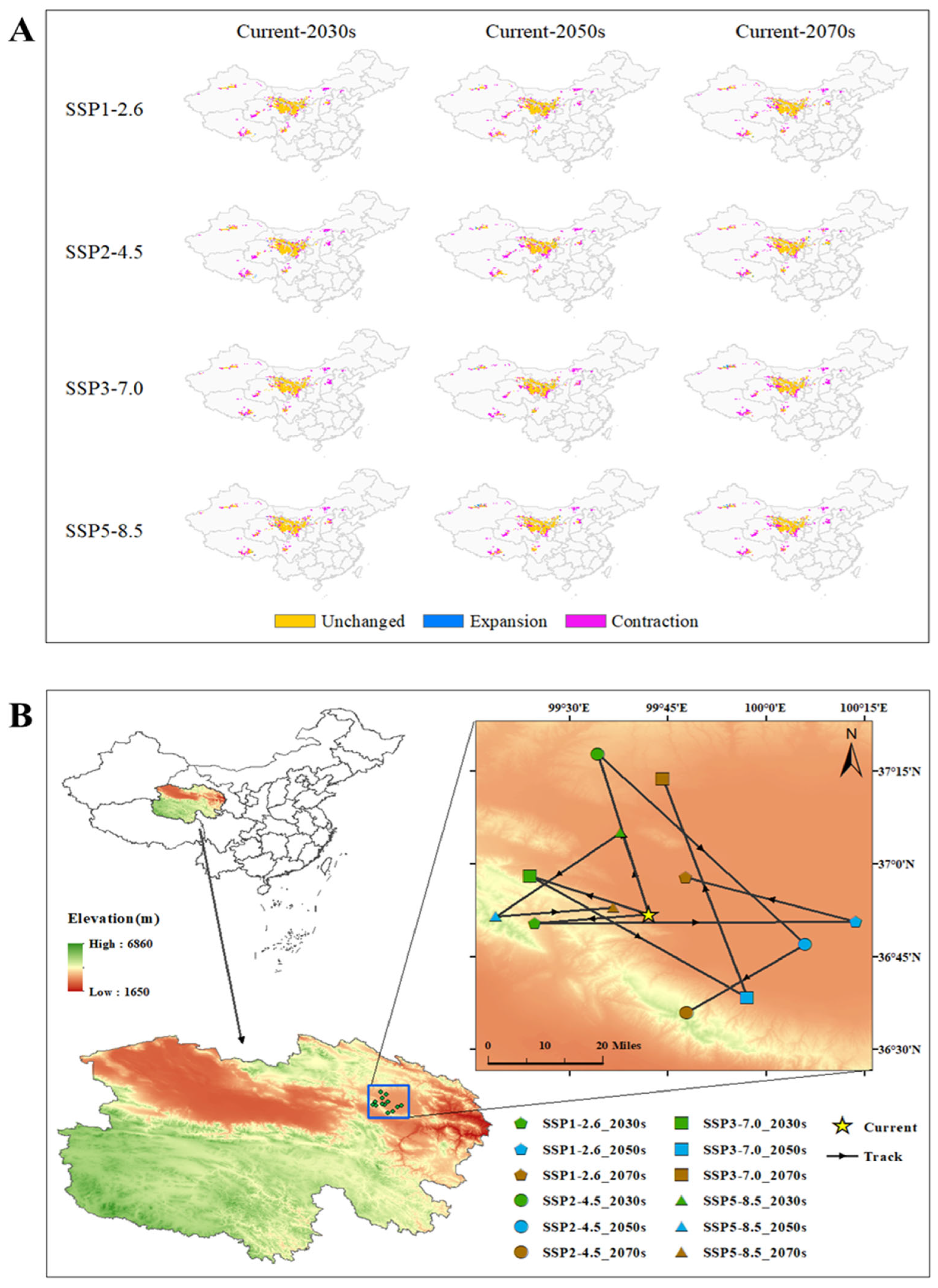Preprints 152997 g005