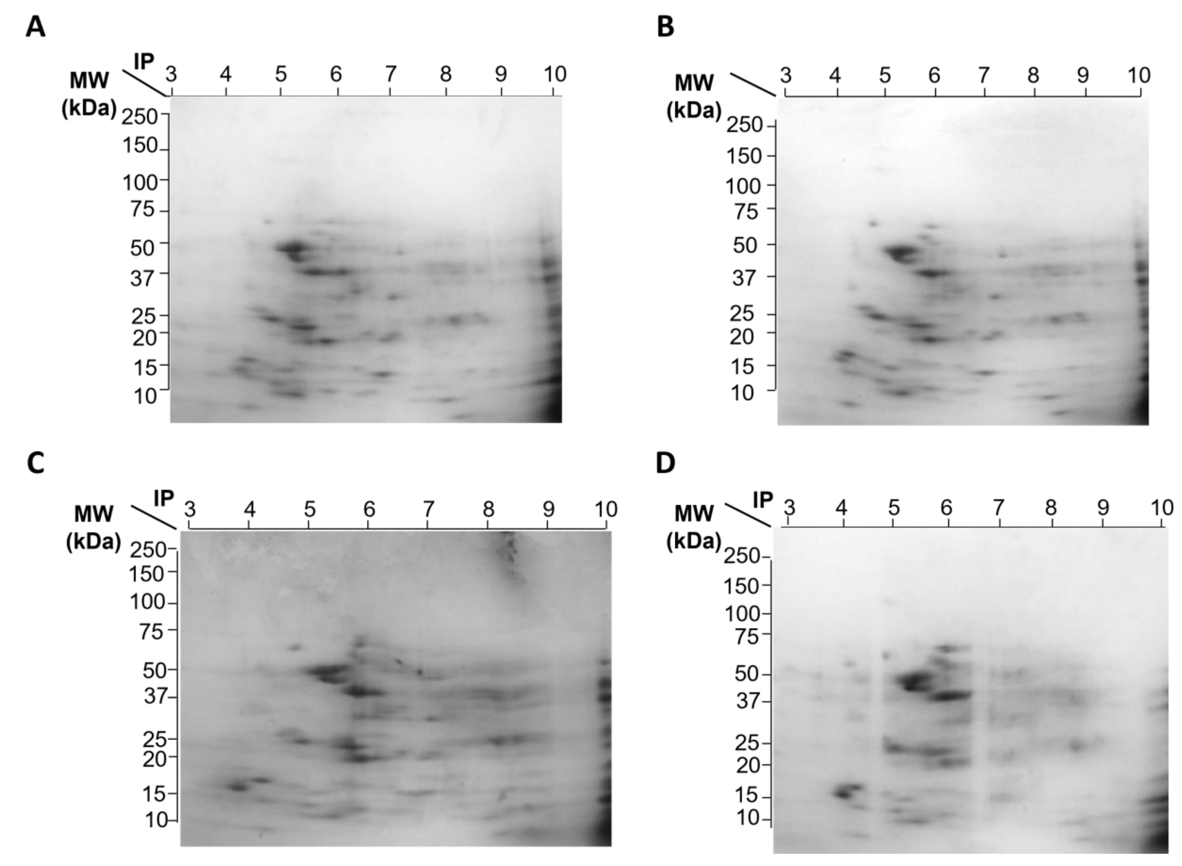 Preprints 166681 g001a