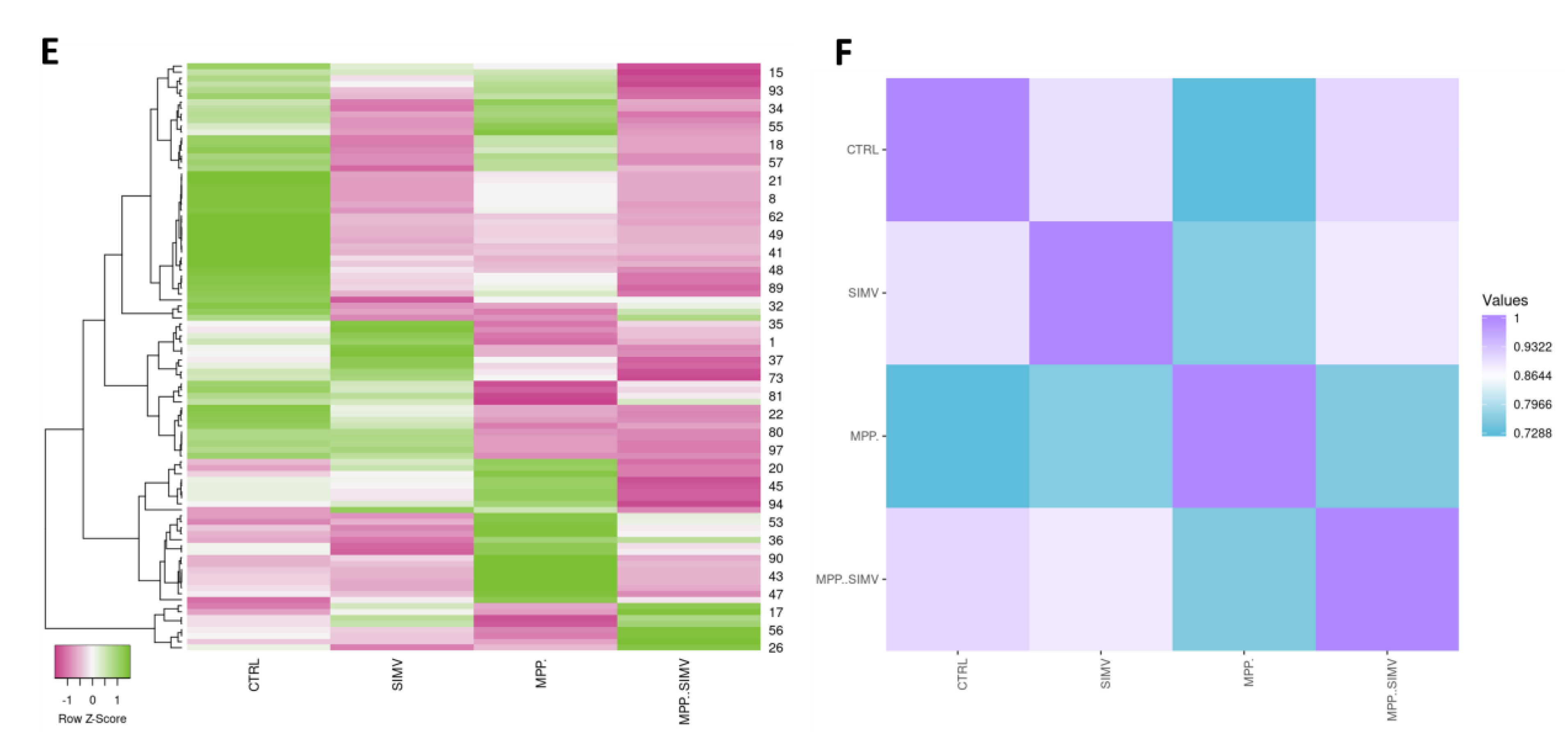 Preprints 166681 g001b
