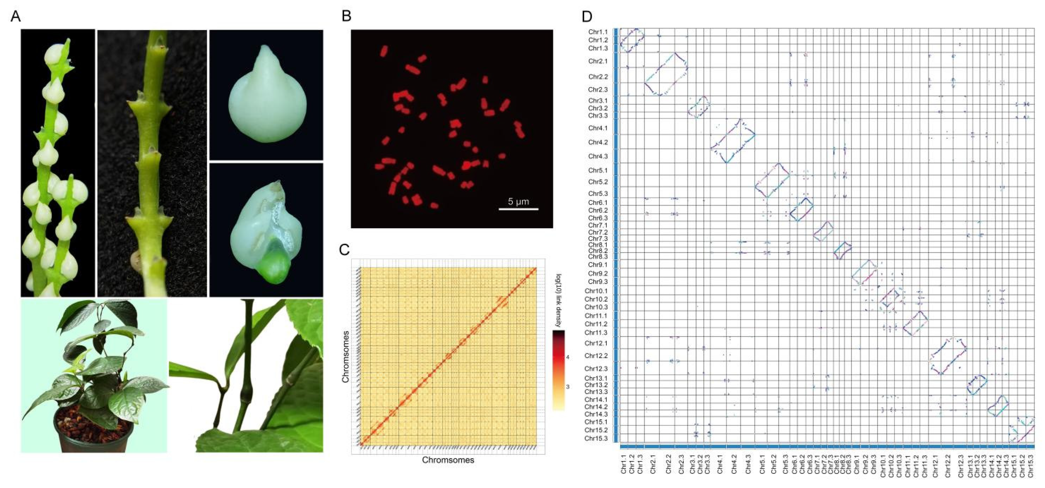 Preprints 167653 g001