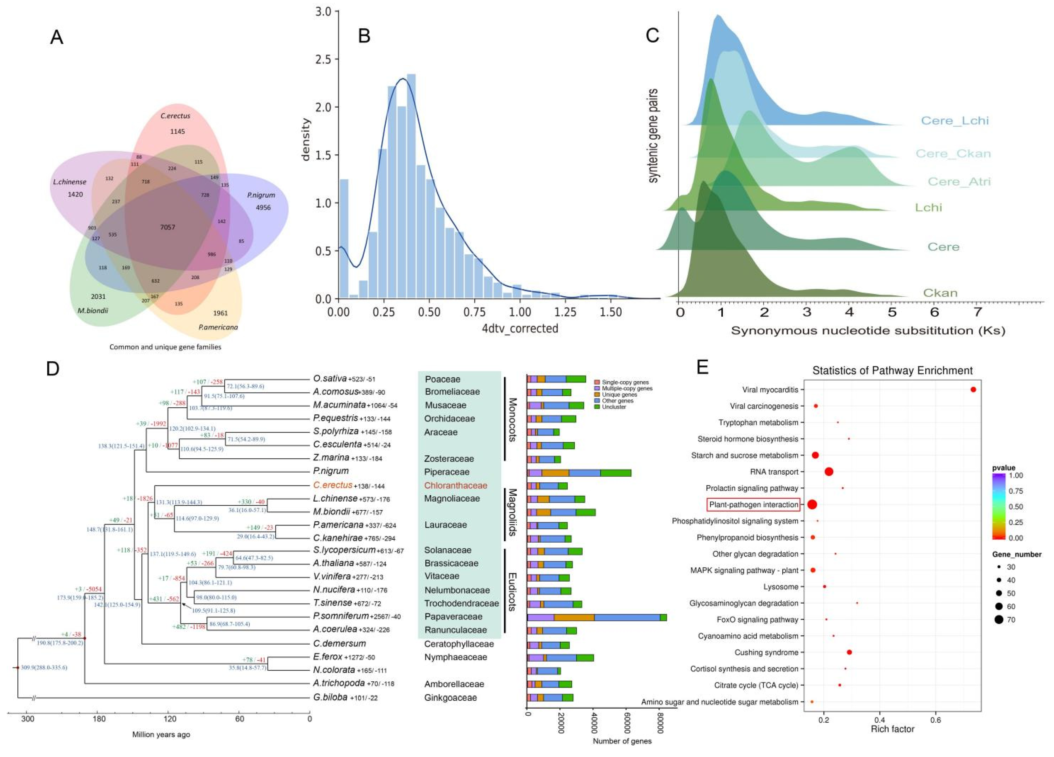 Preprints 167653 g002