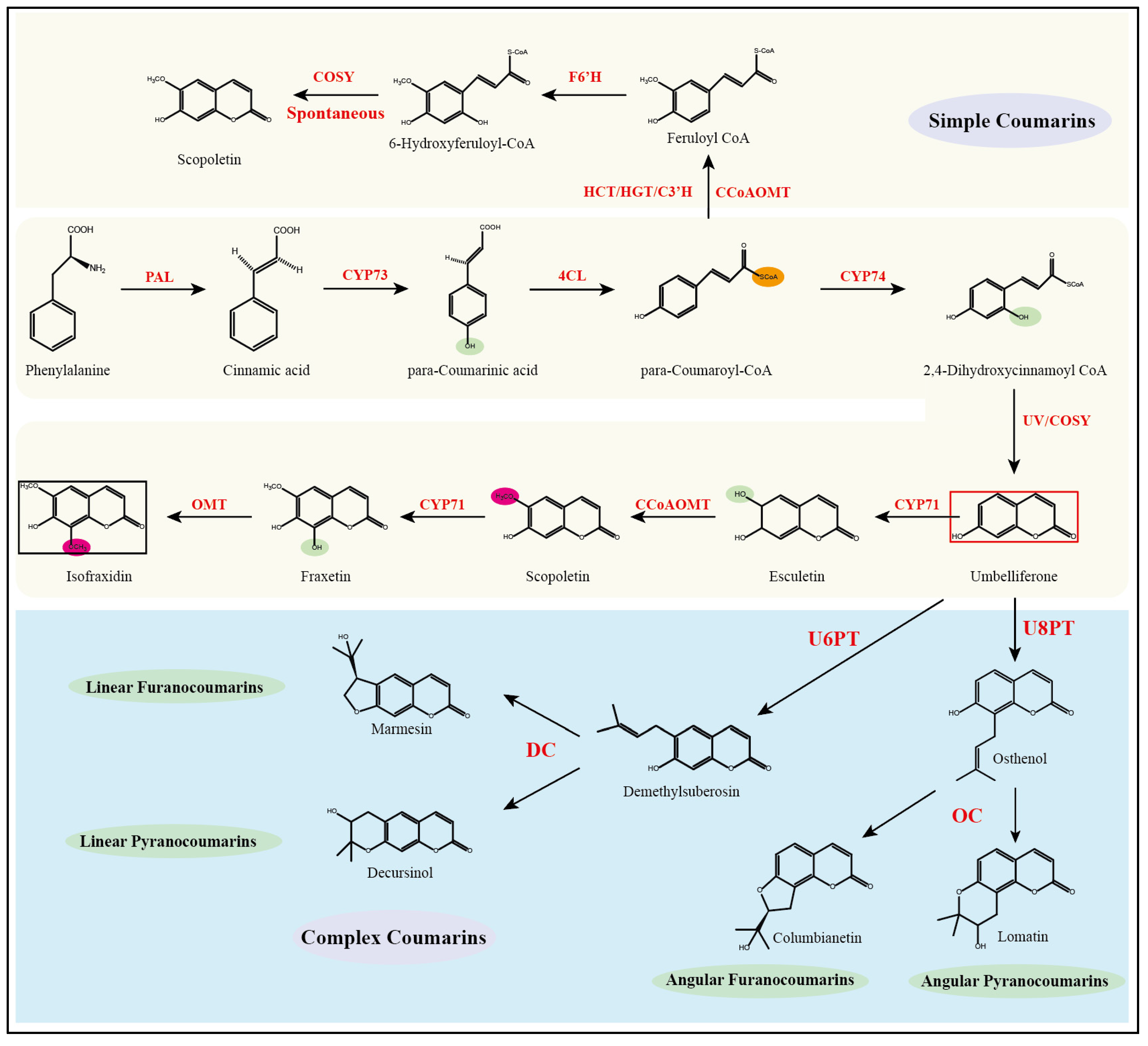 Preprints 167653 g003