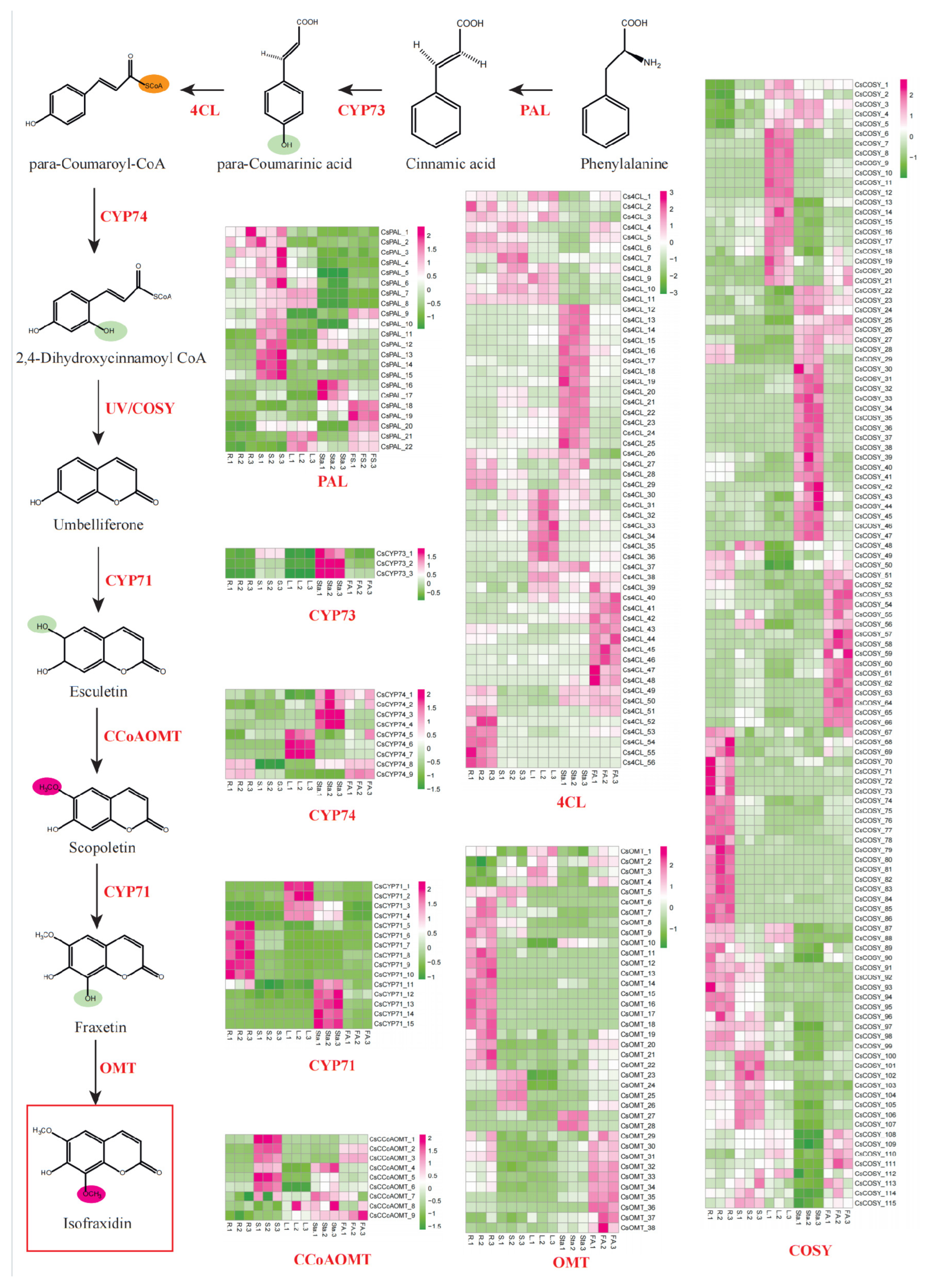 Preprints 167653 g004