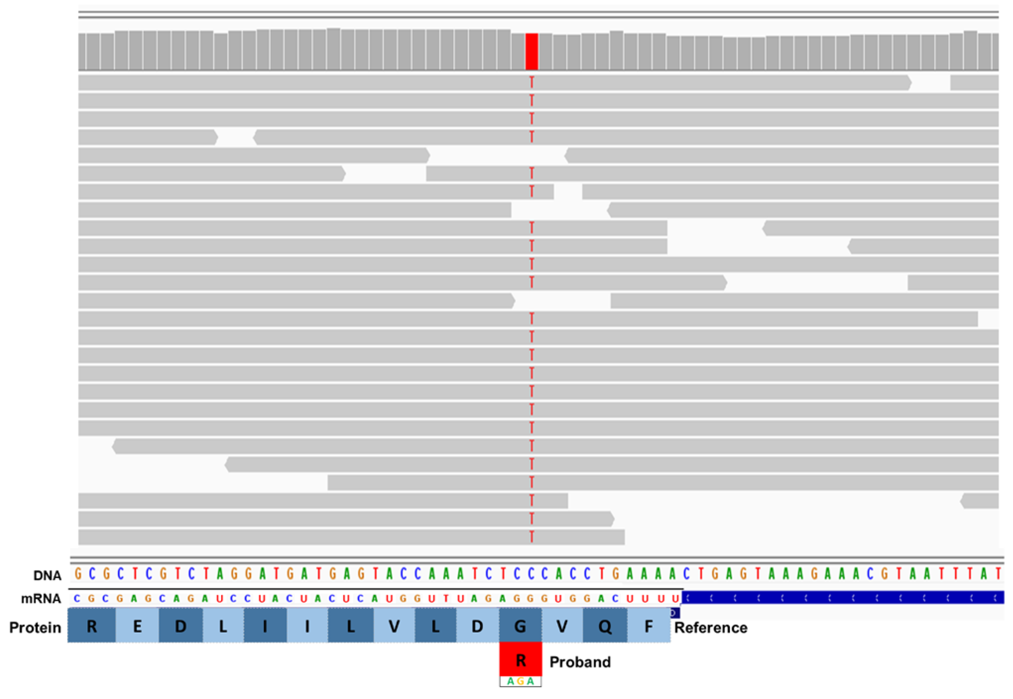 Preprints 148262 g001