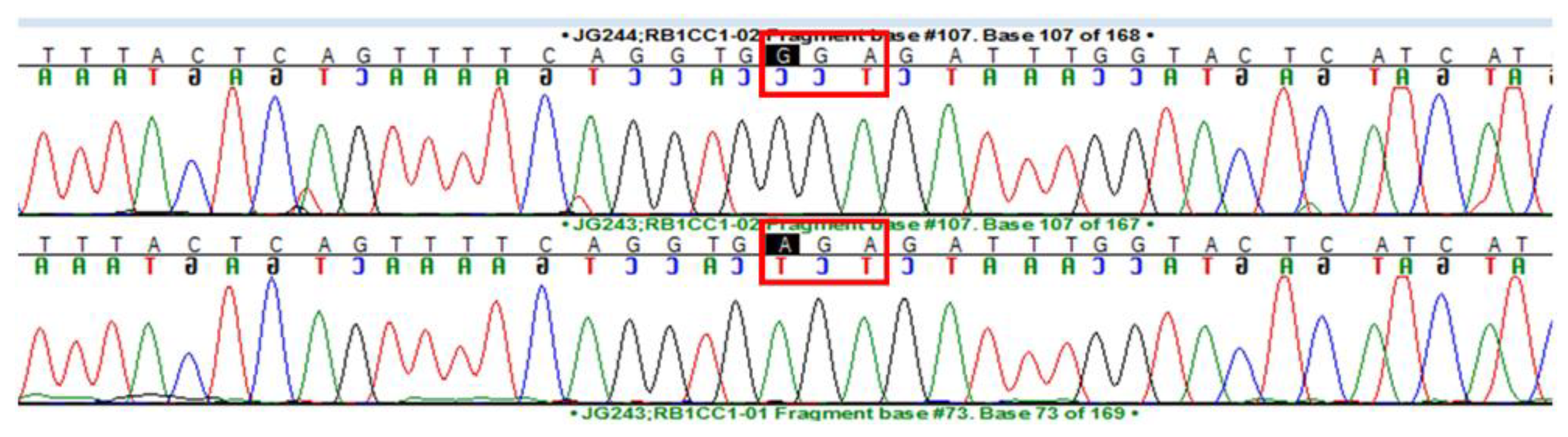 Preprints 148262 g002