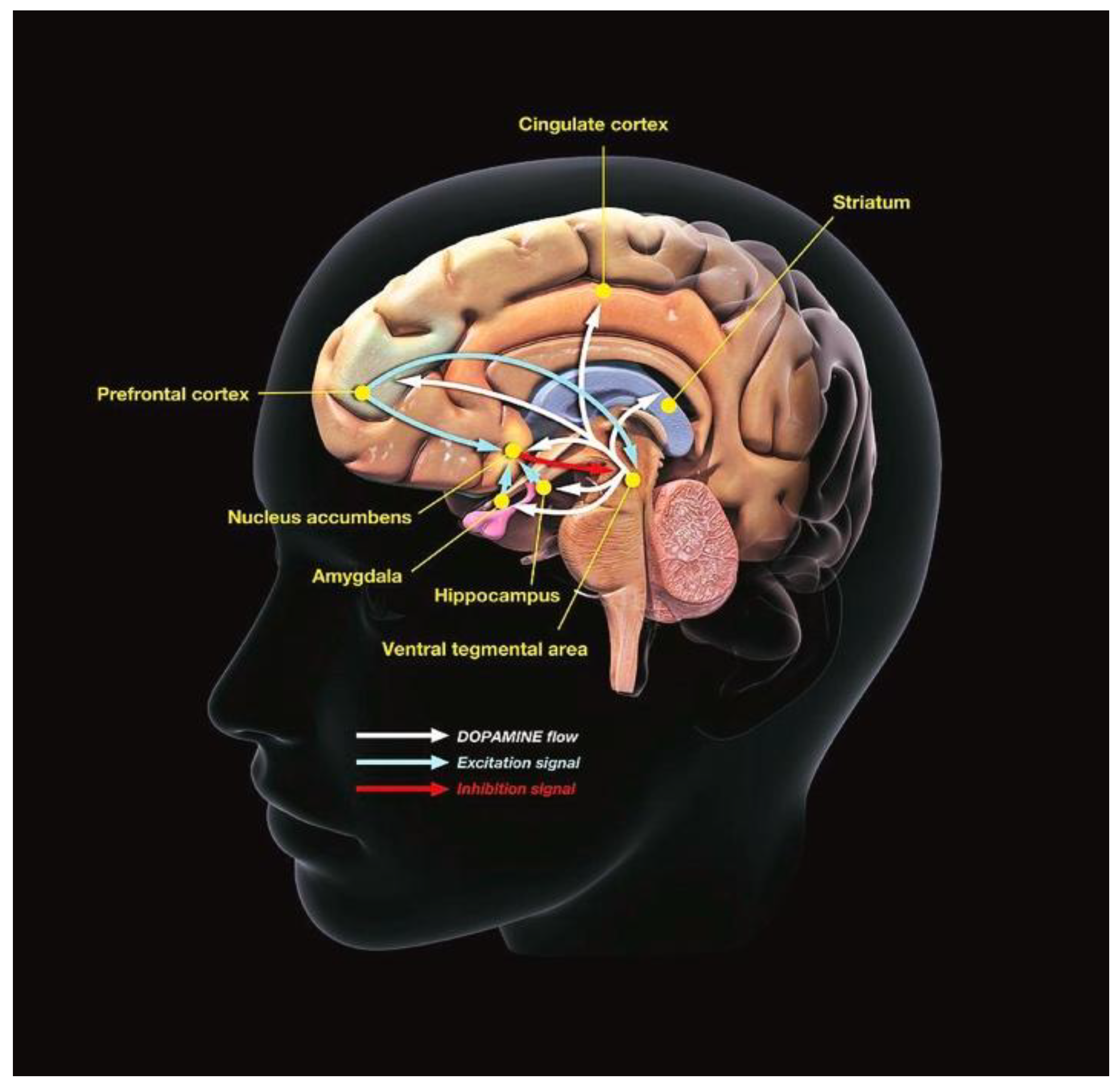 Preprints 166380 g001