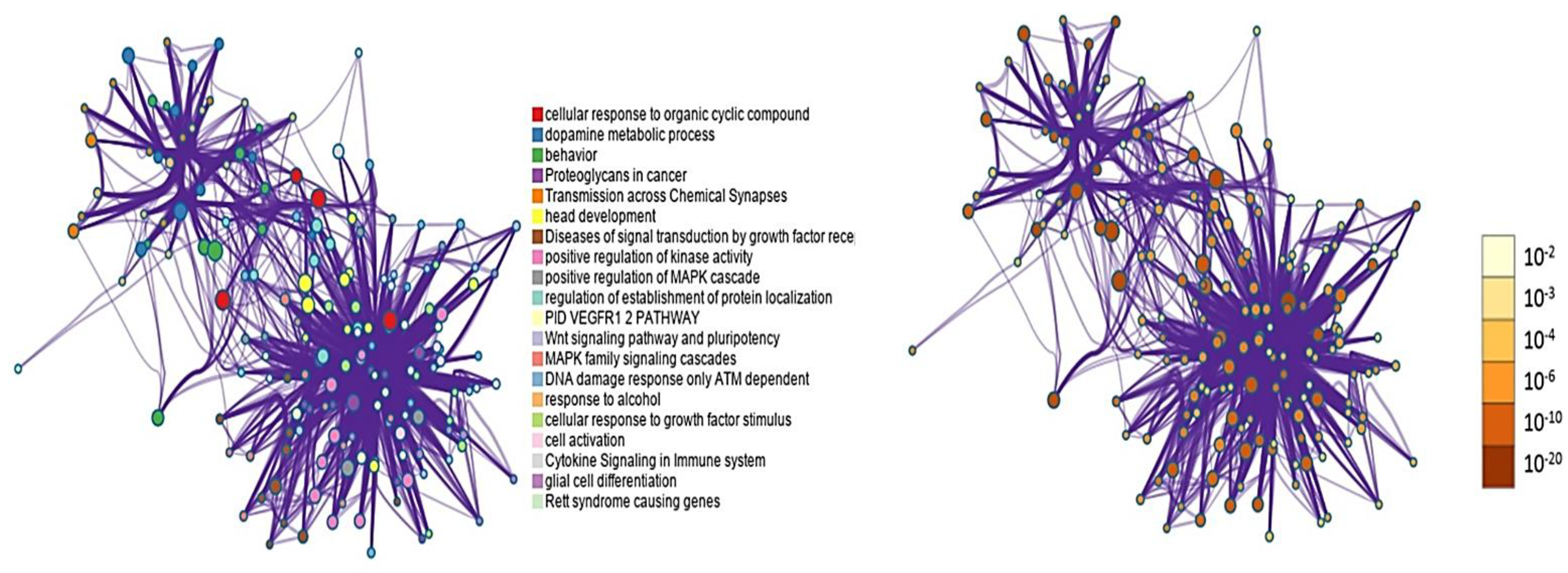 Preprints 166380 g009