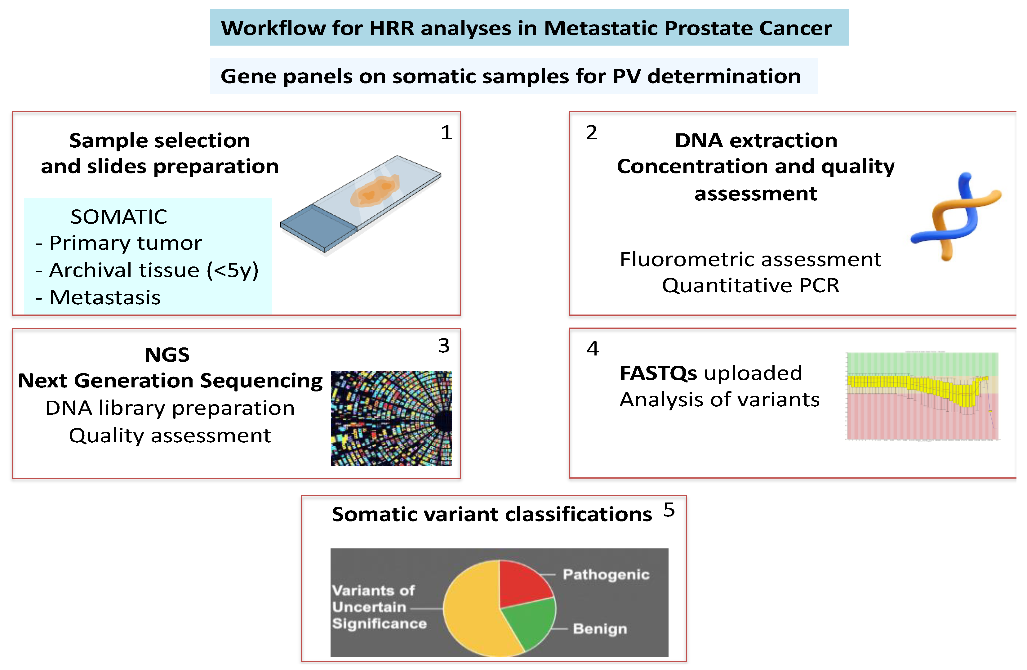 Preprints 141467 g001