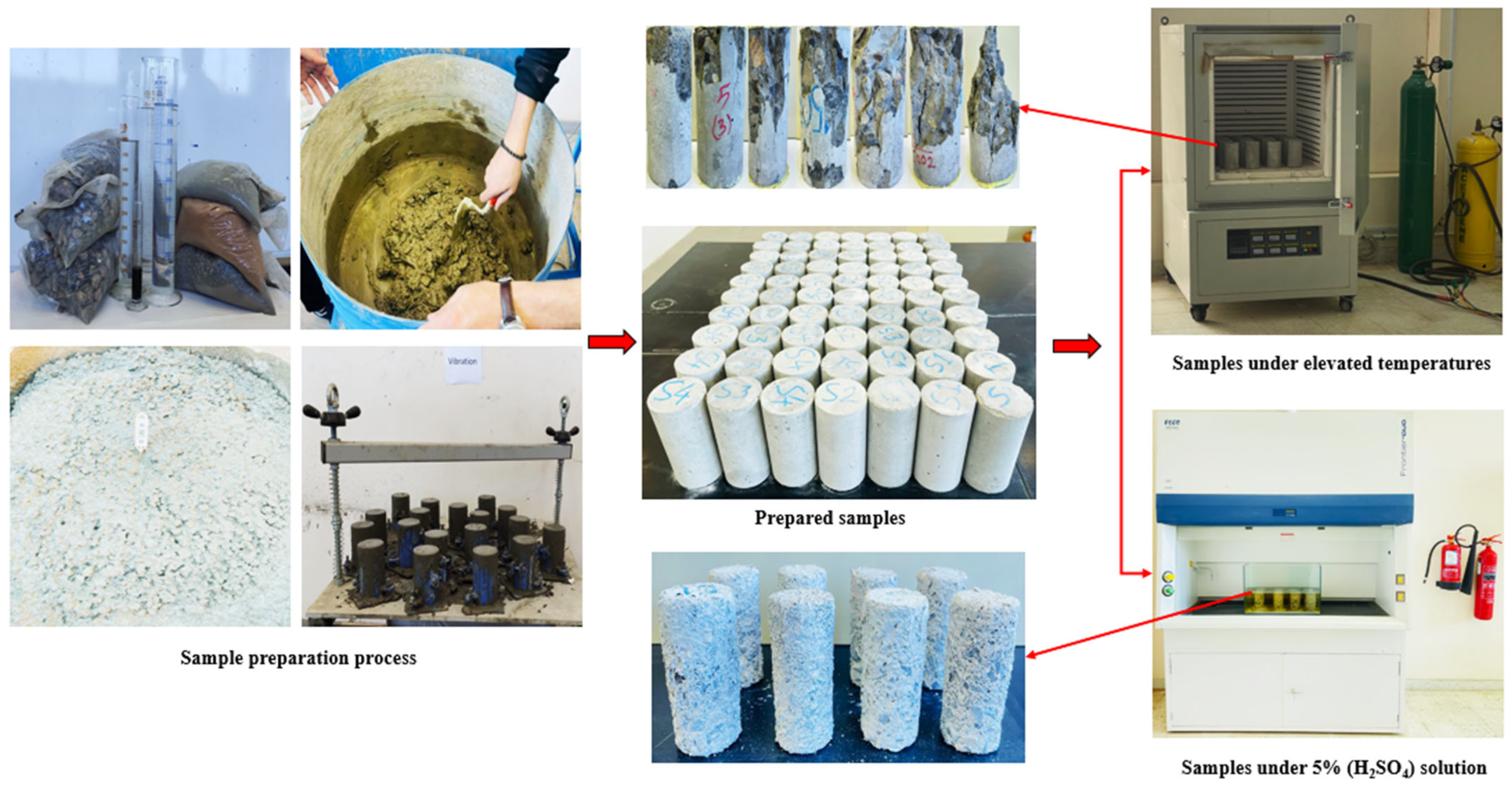 Preprints 169888 g002