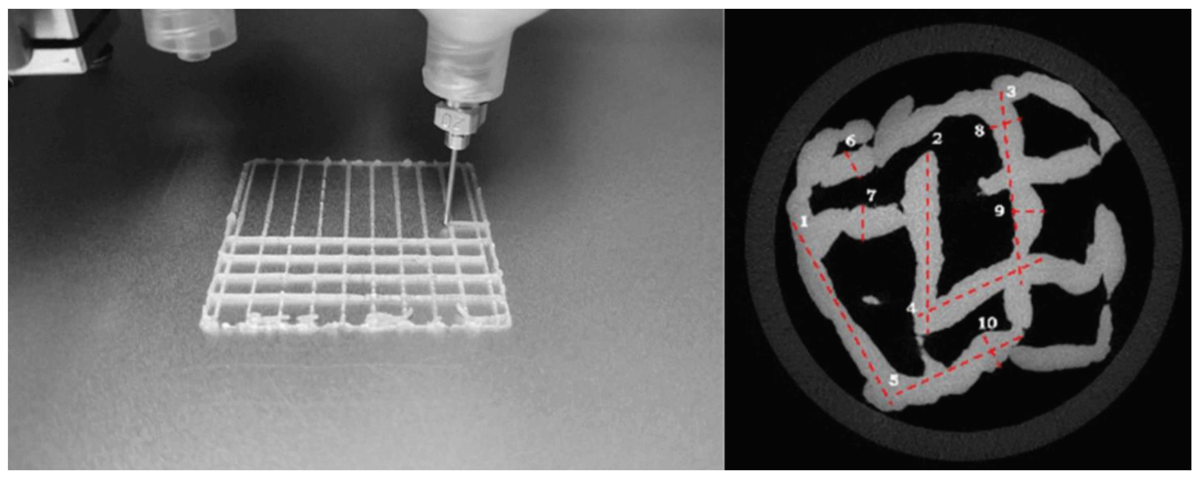 Preprints 101949 g005