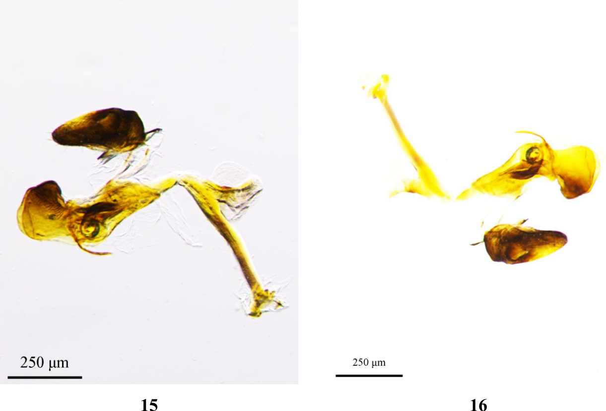 Preprints 209708 g001e