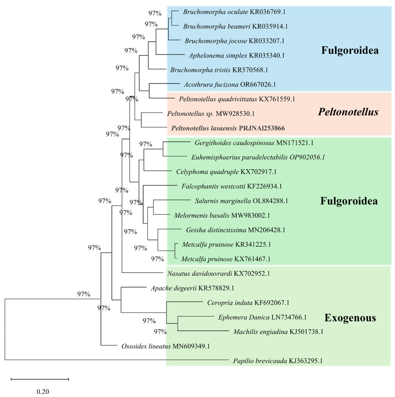 Preprints 209708 g002 Preprints 209708 g002