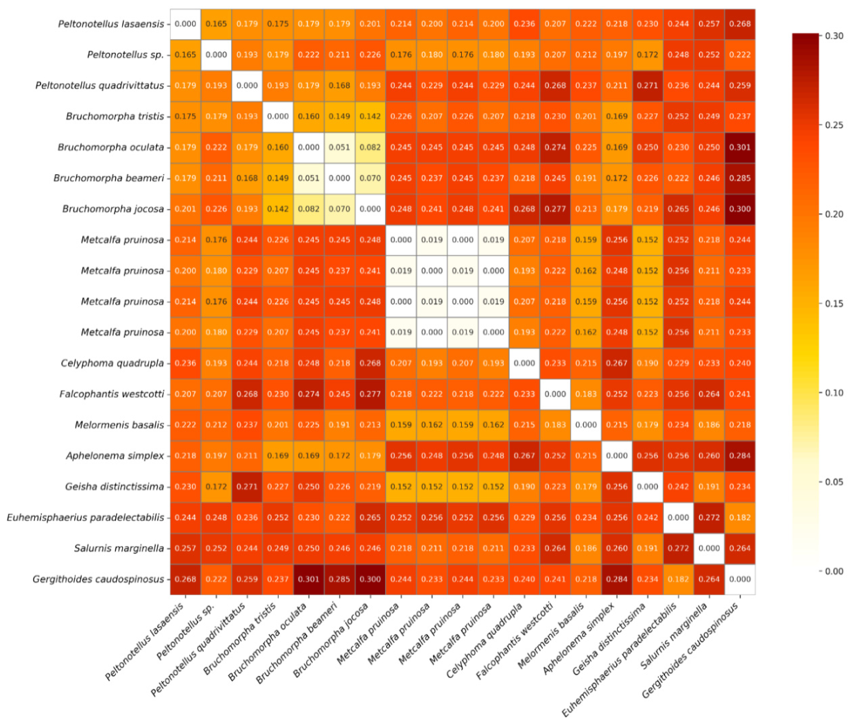 Preprints 209708 g003 Preprints 209708 g003