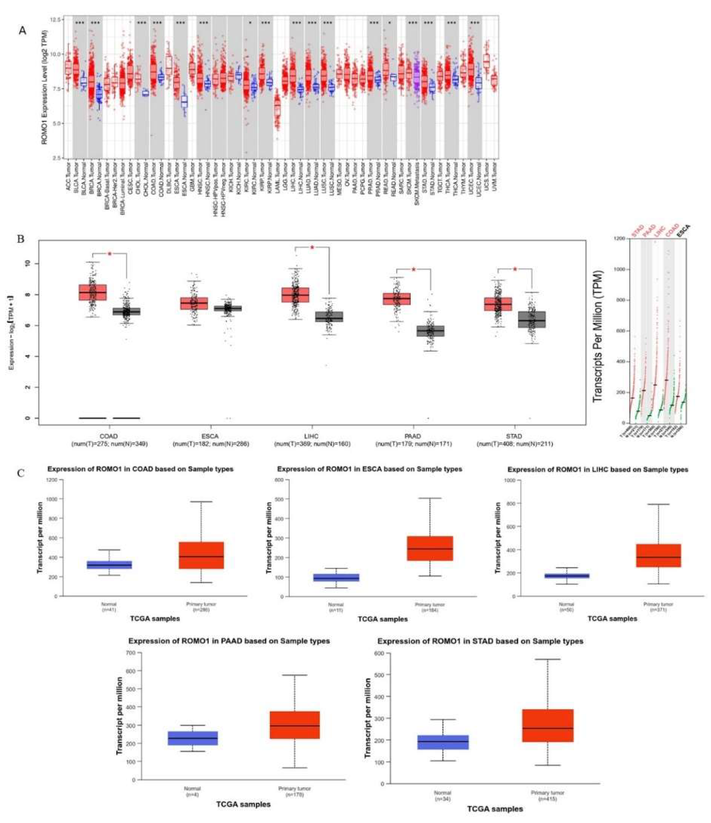 Preprints 140419 g001