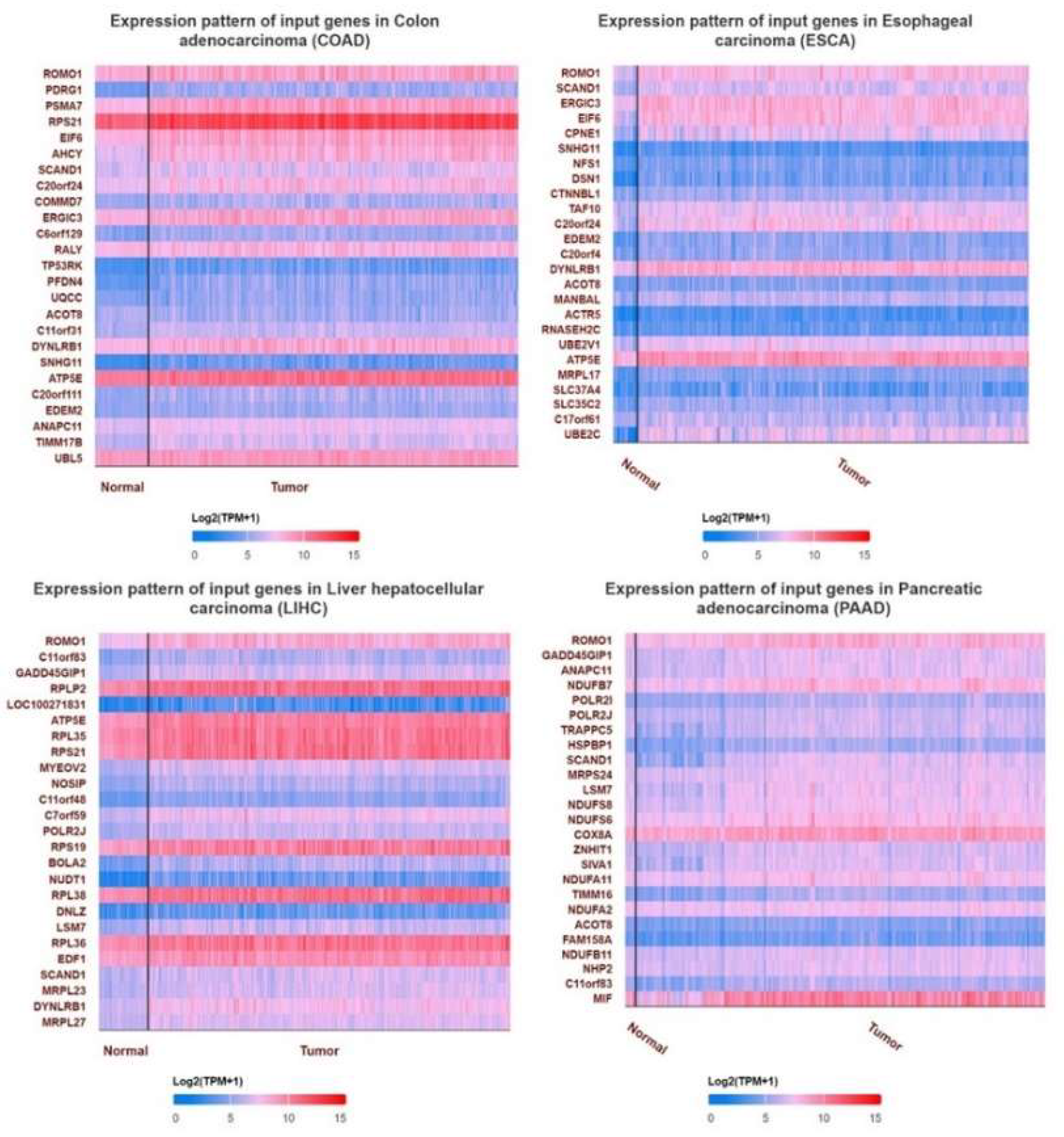 Preprints 140419 g002